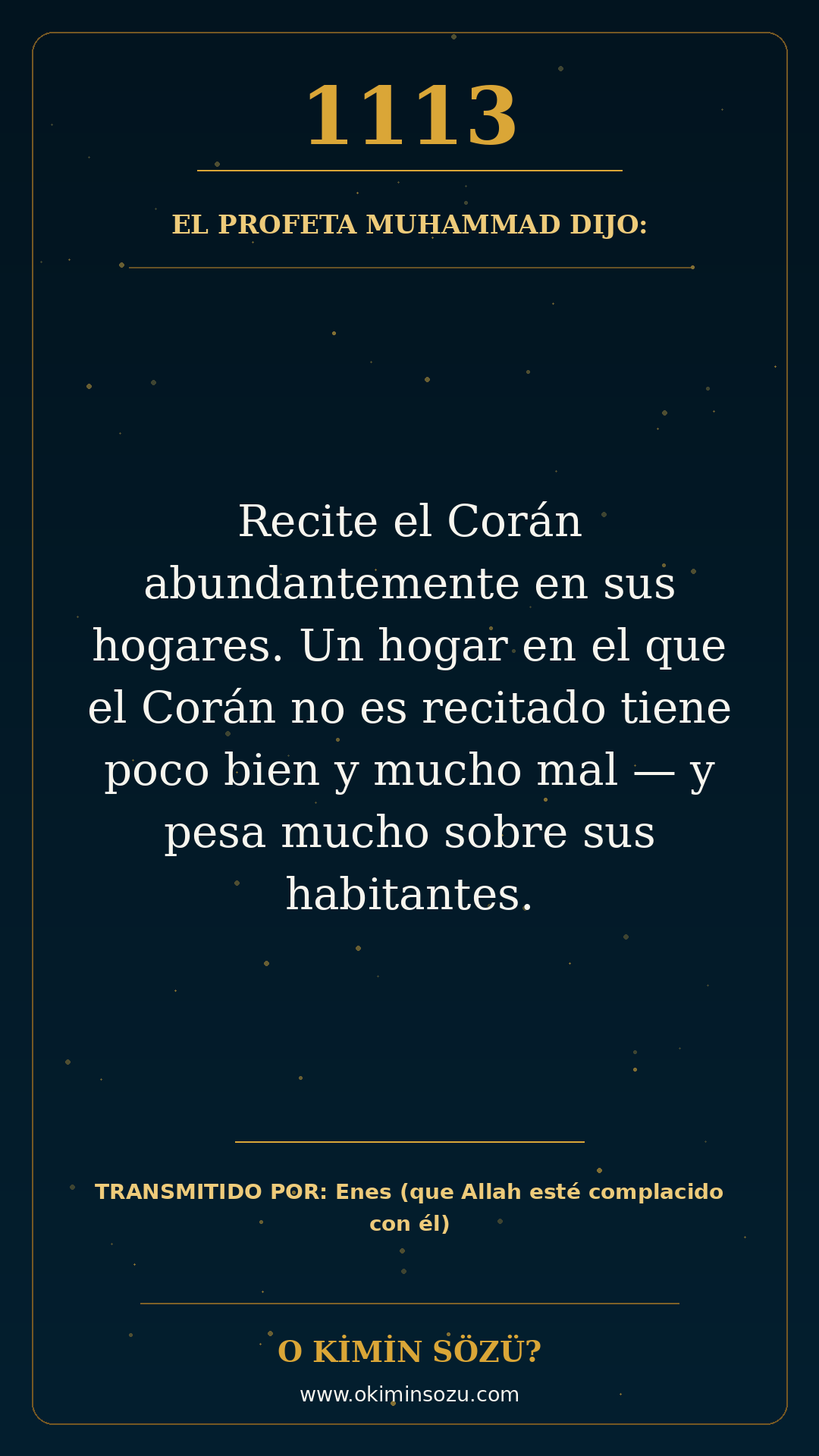 hadis 1113 es