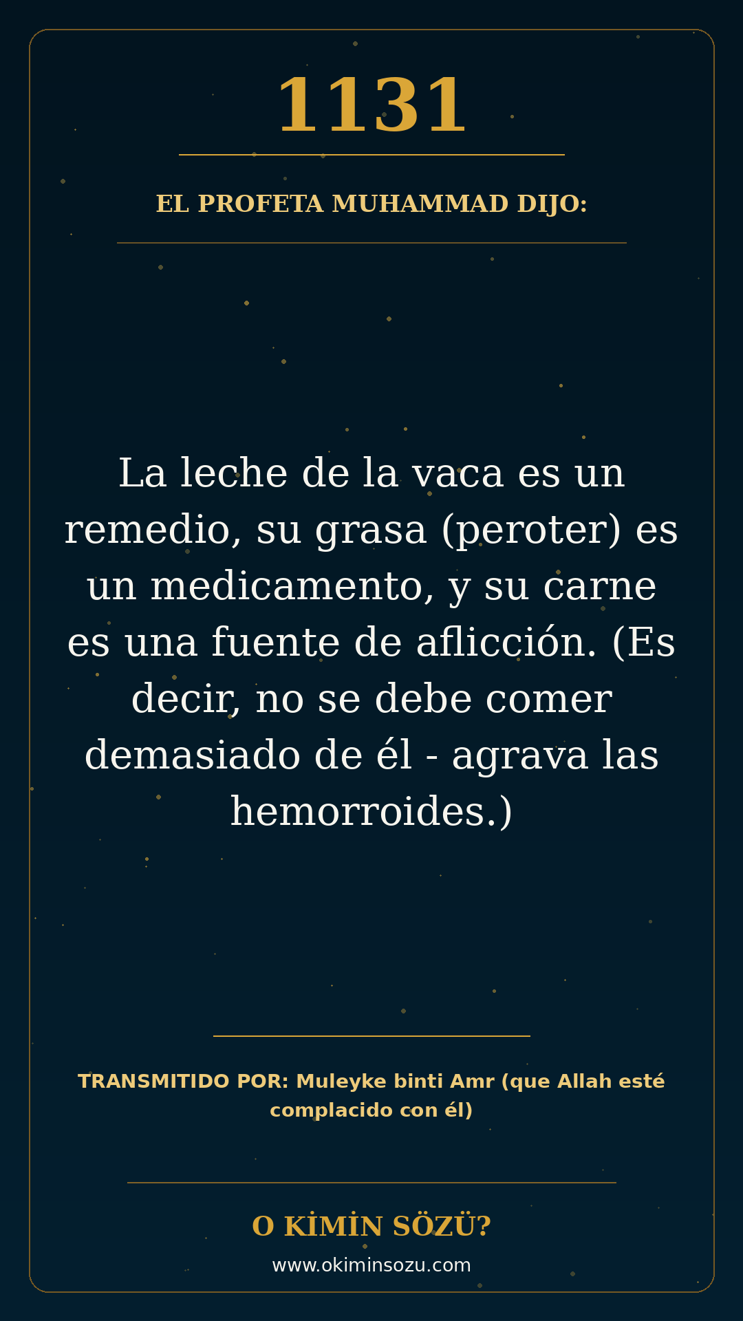 hadis 1131 es