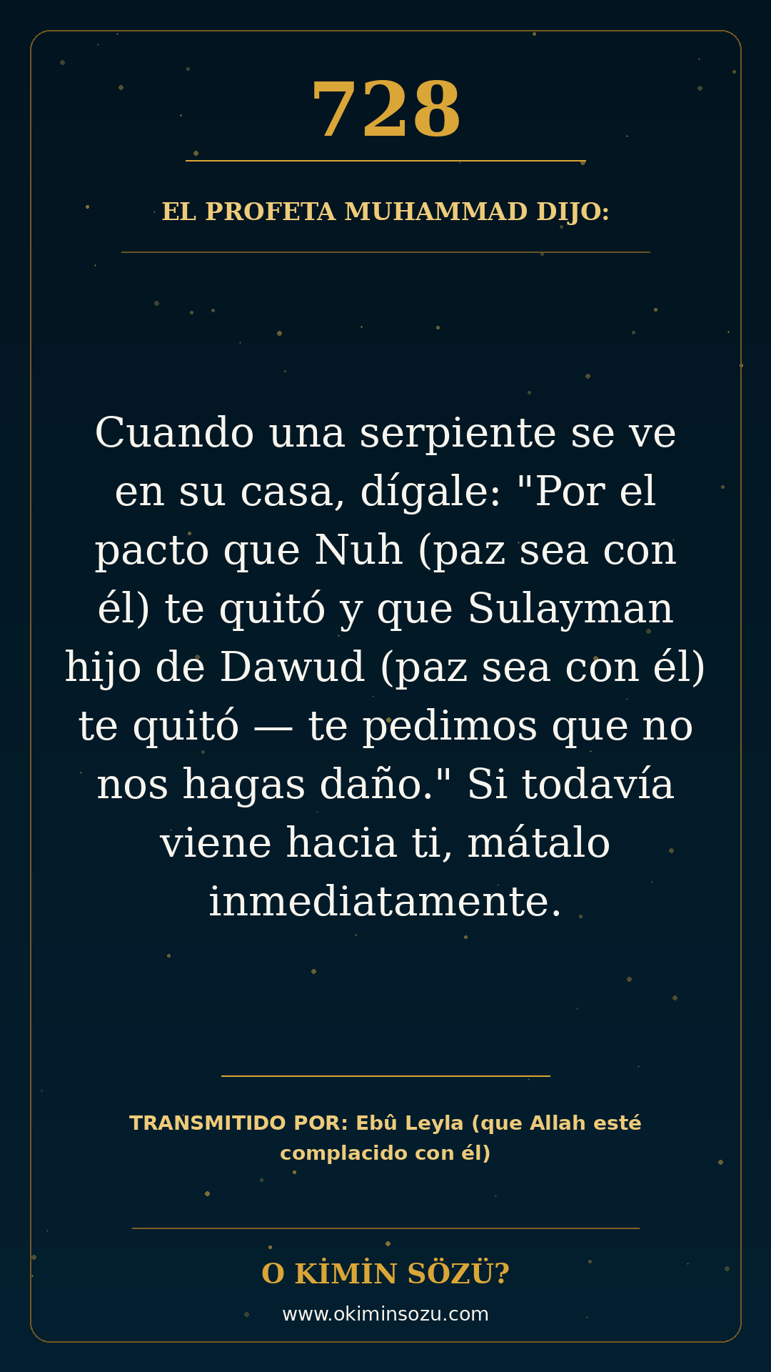 hadis 0728 es