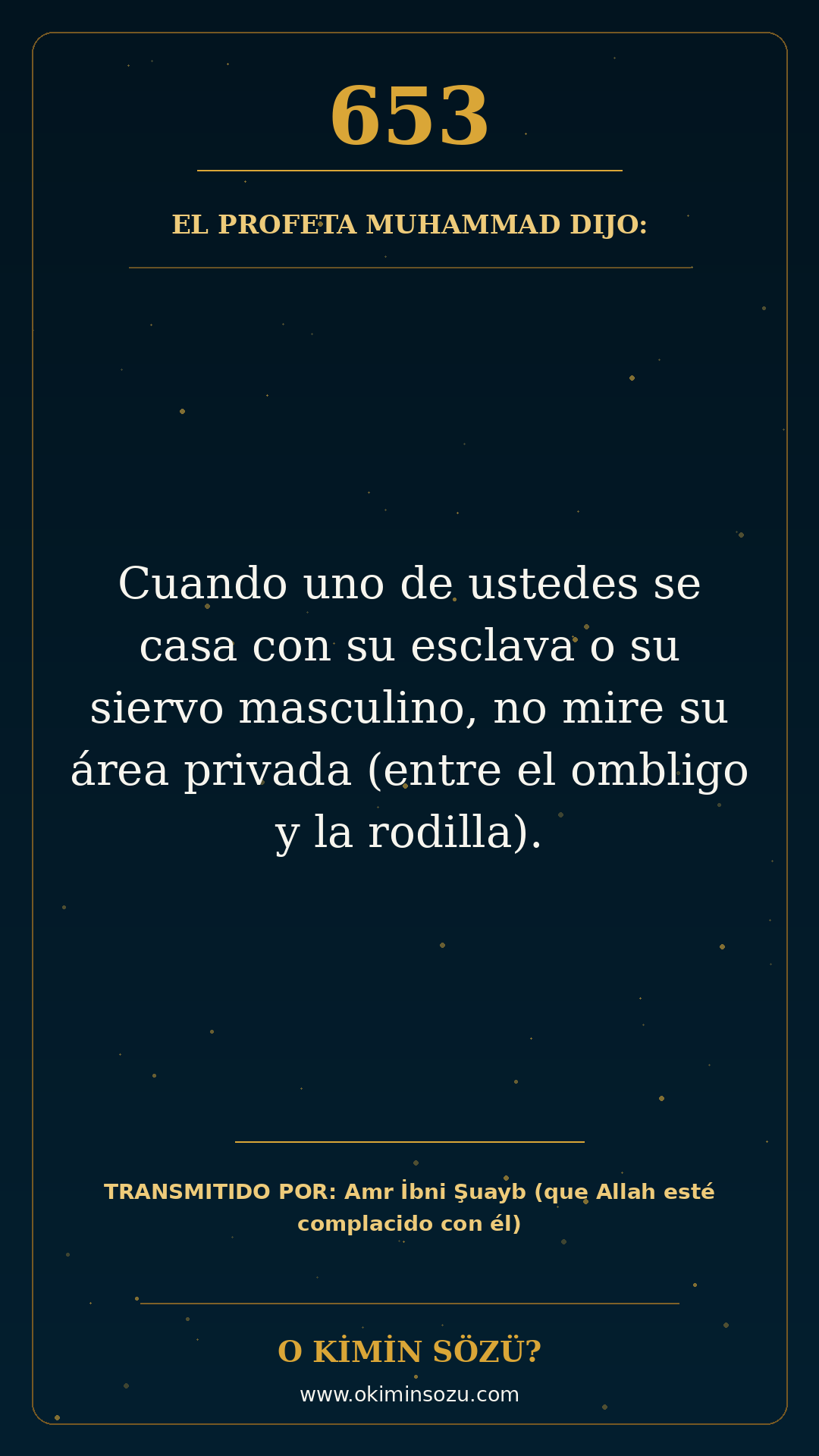 hadis 0653 es