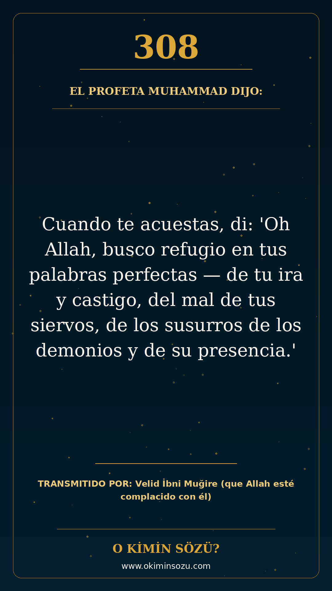 hadis 0308 es