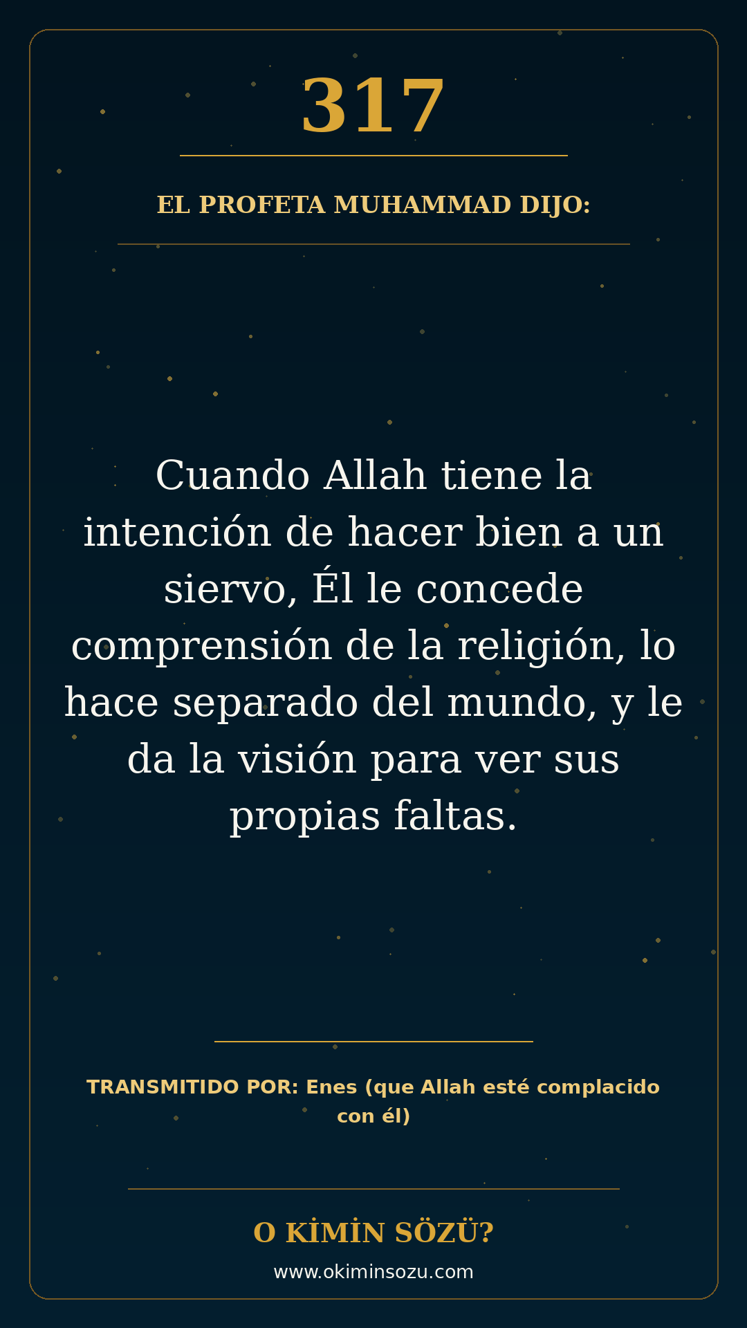 hadis 0317 es