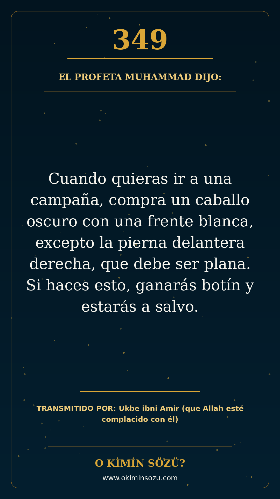 hadis 0349 es