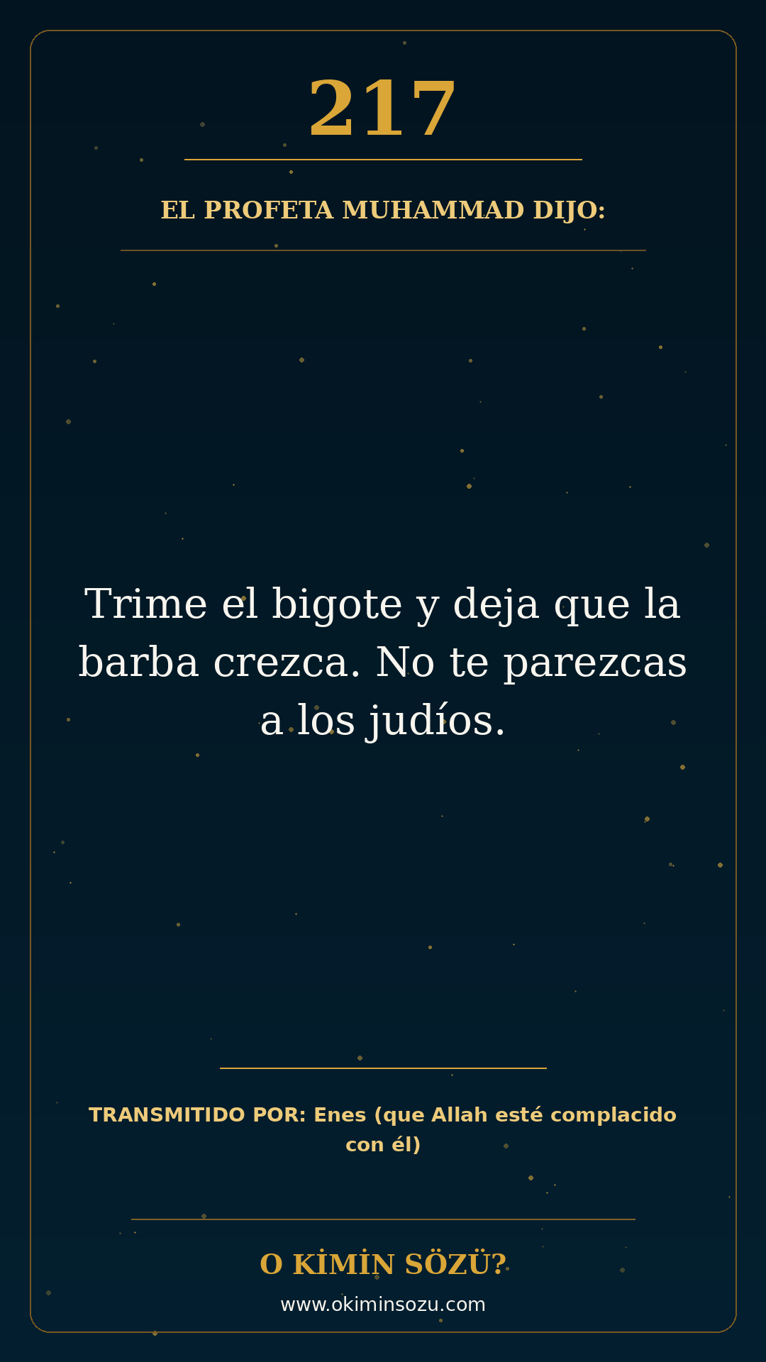 hadis 0217 es