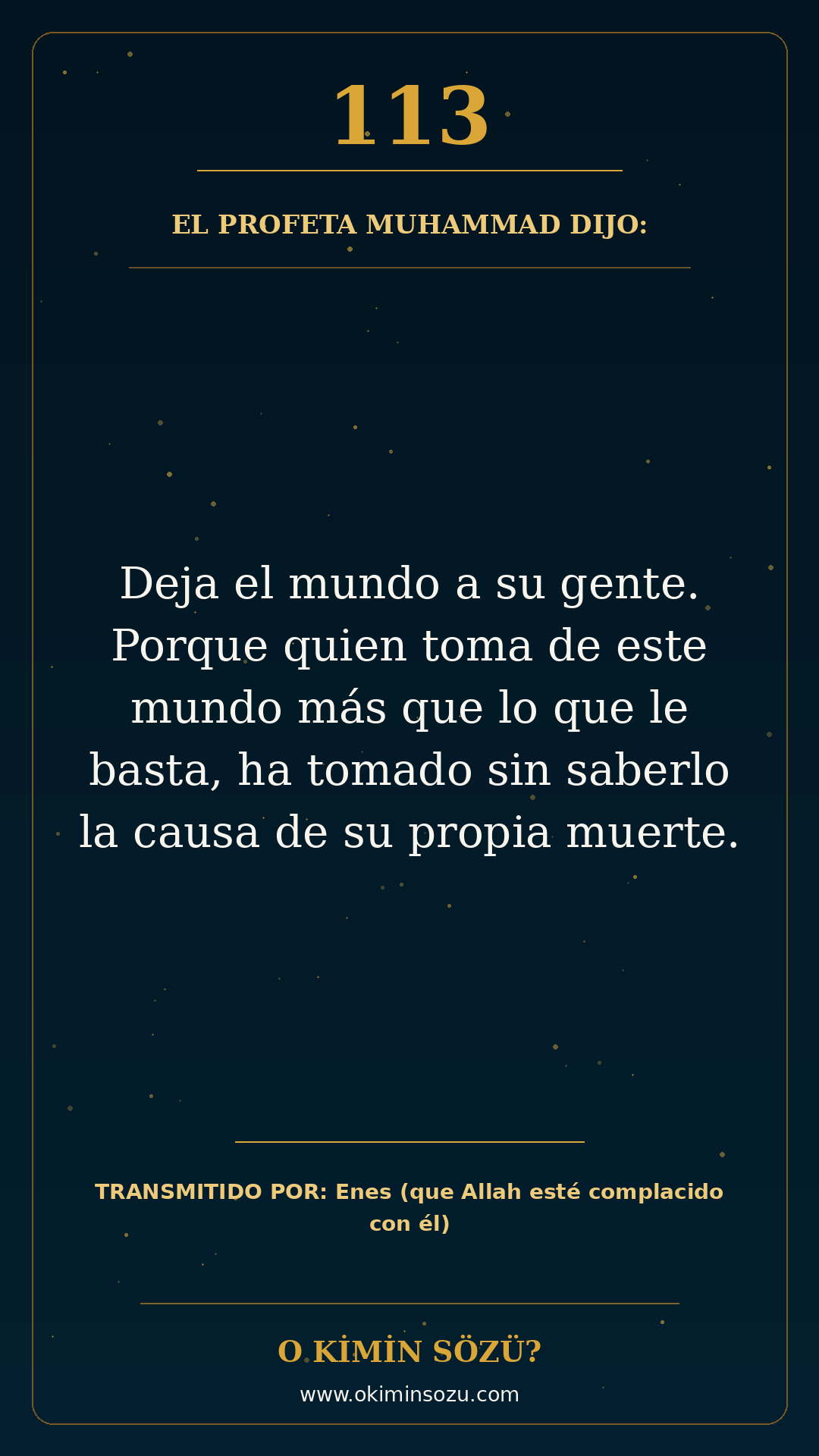hadis 0113 es