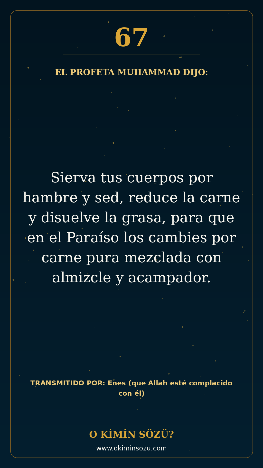hadis 0067 es