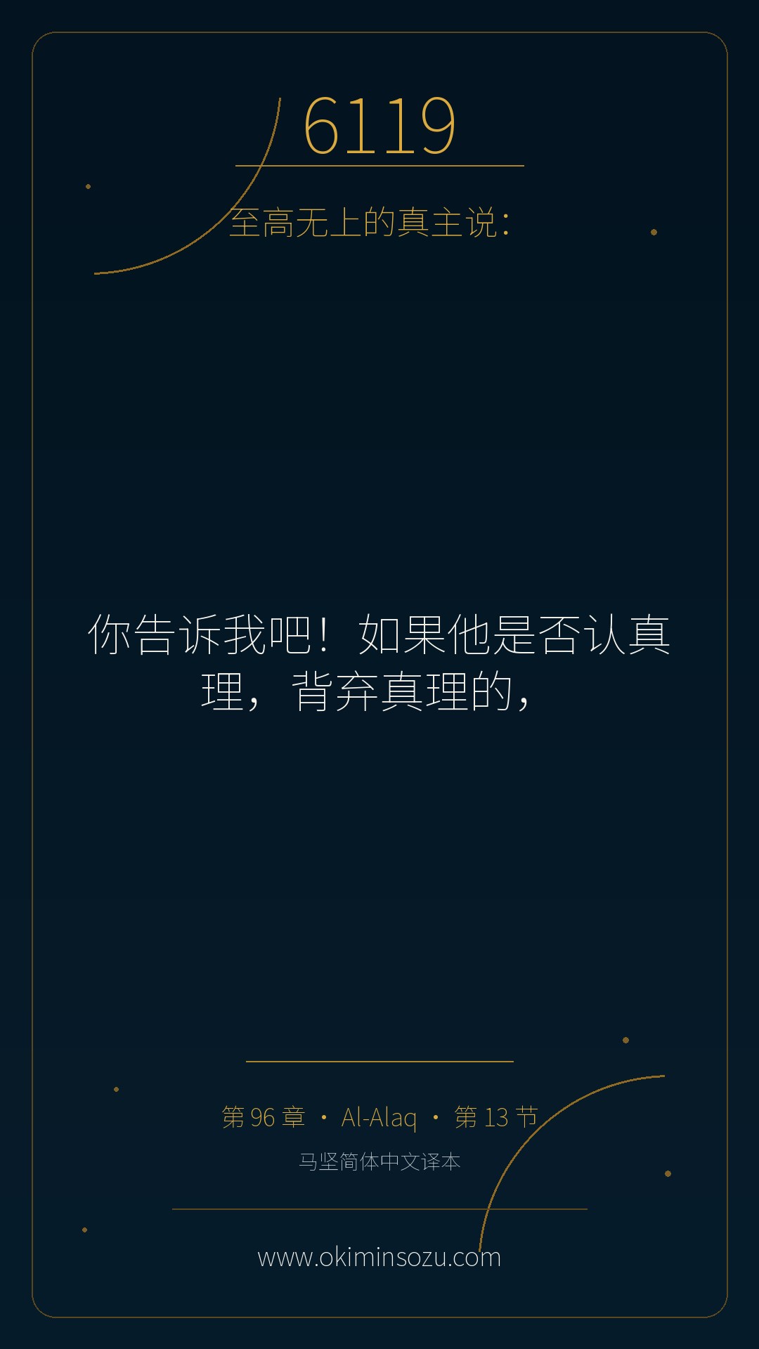 6119 S096 A013