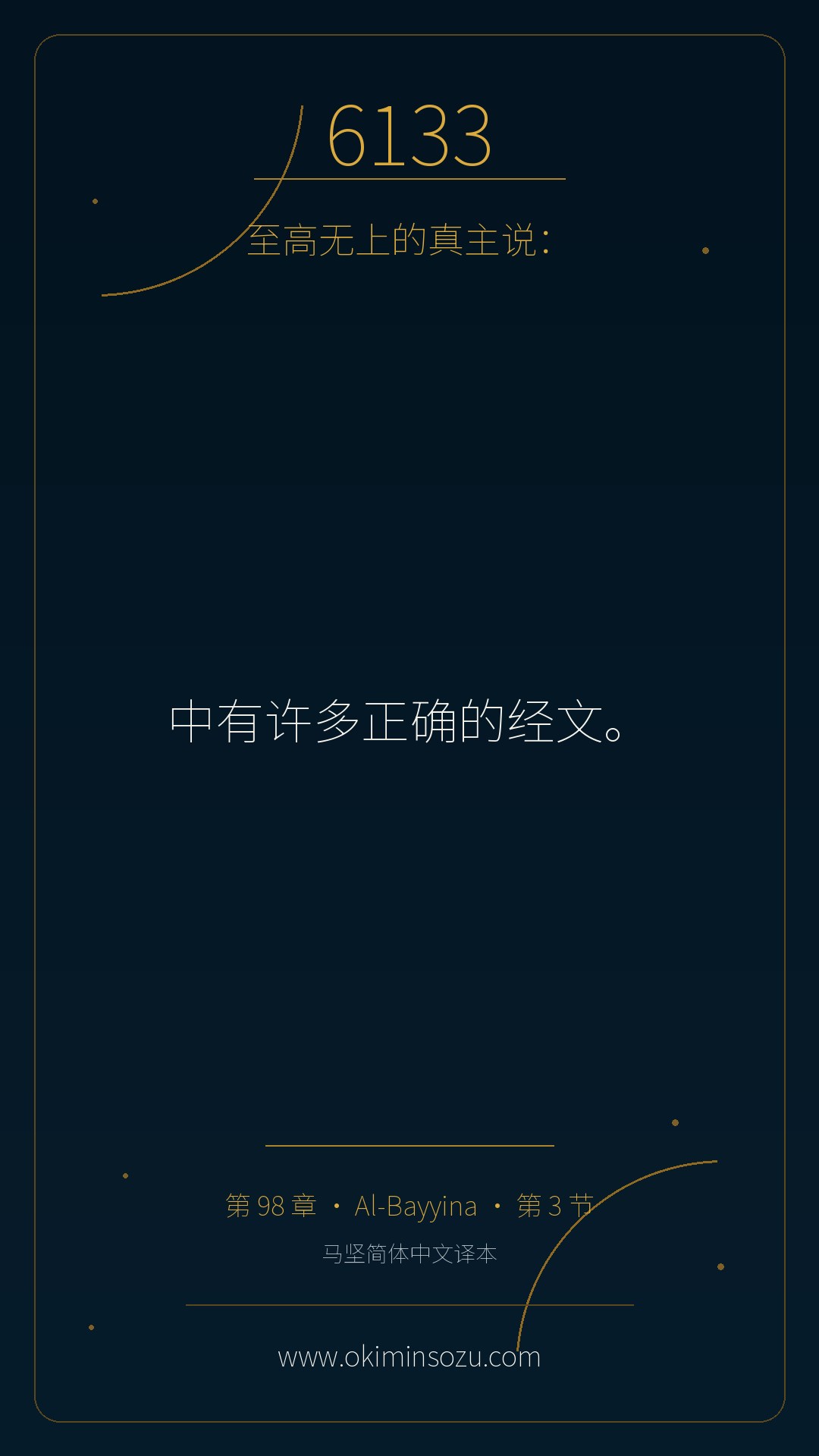 6133 S098 A003