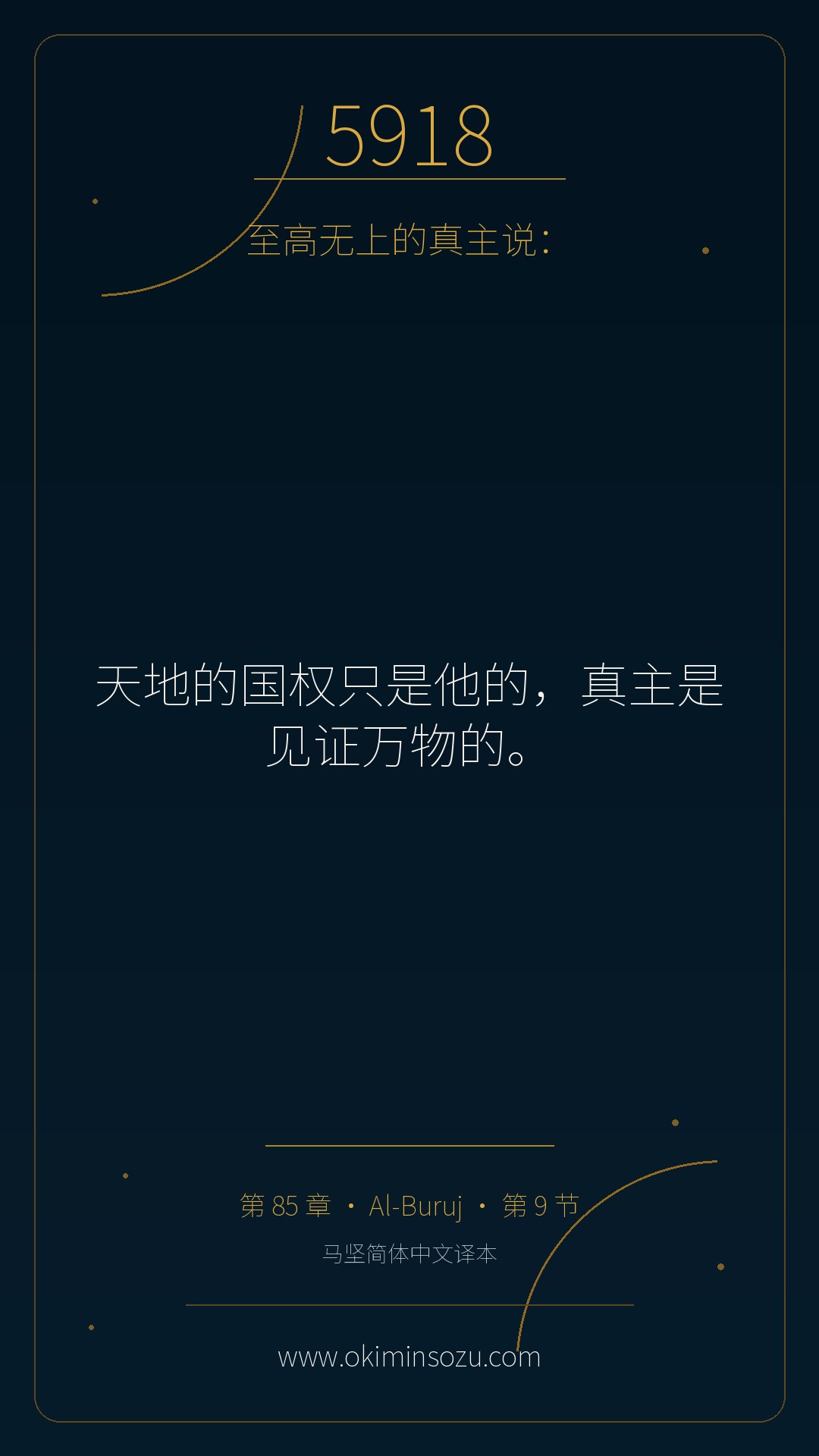 5918 S085 A009