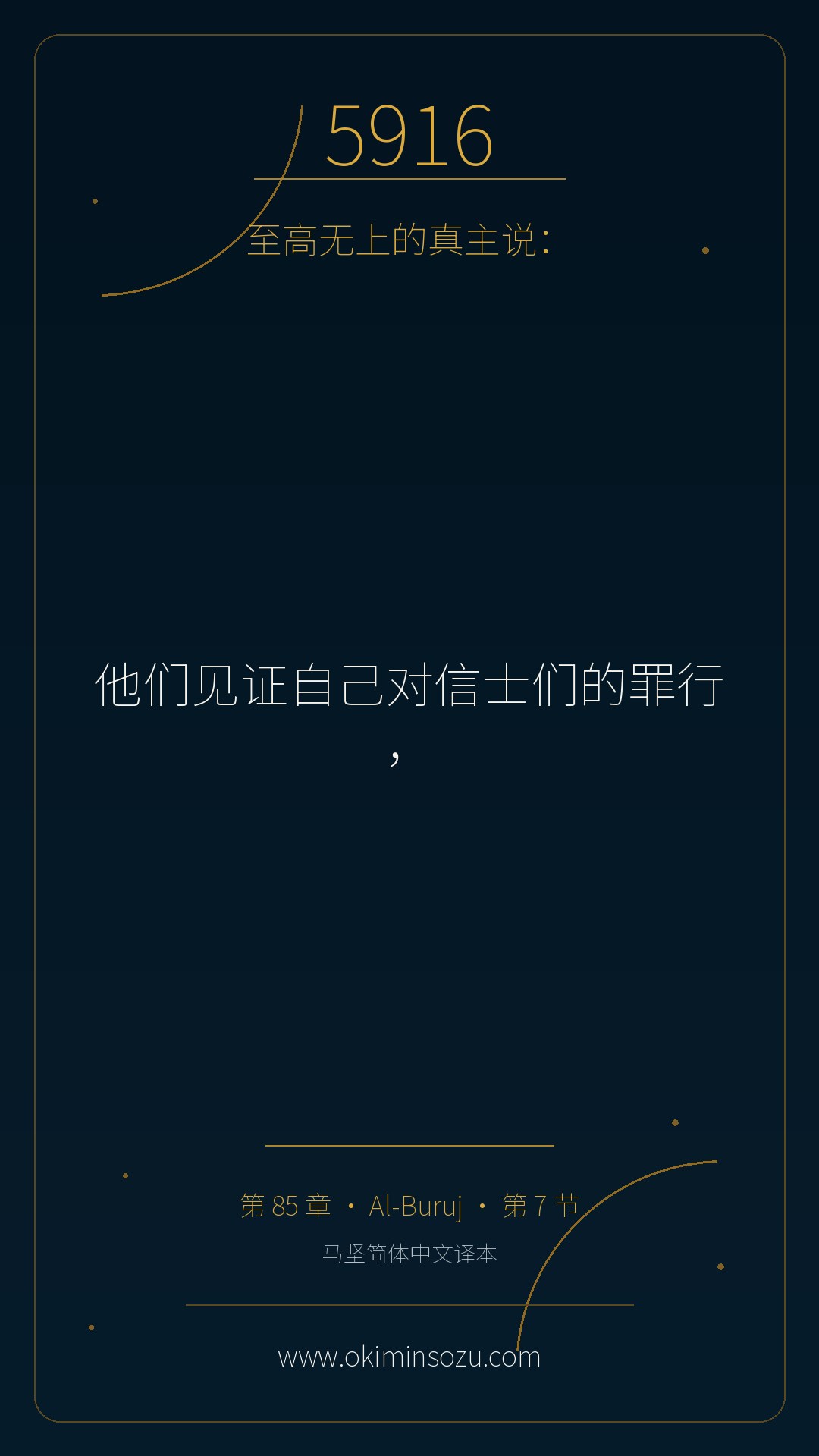 5916 S085 A007