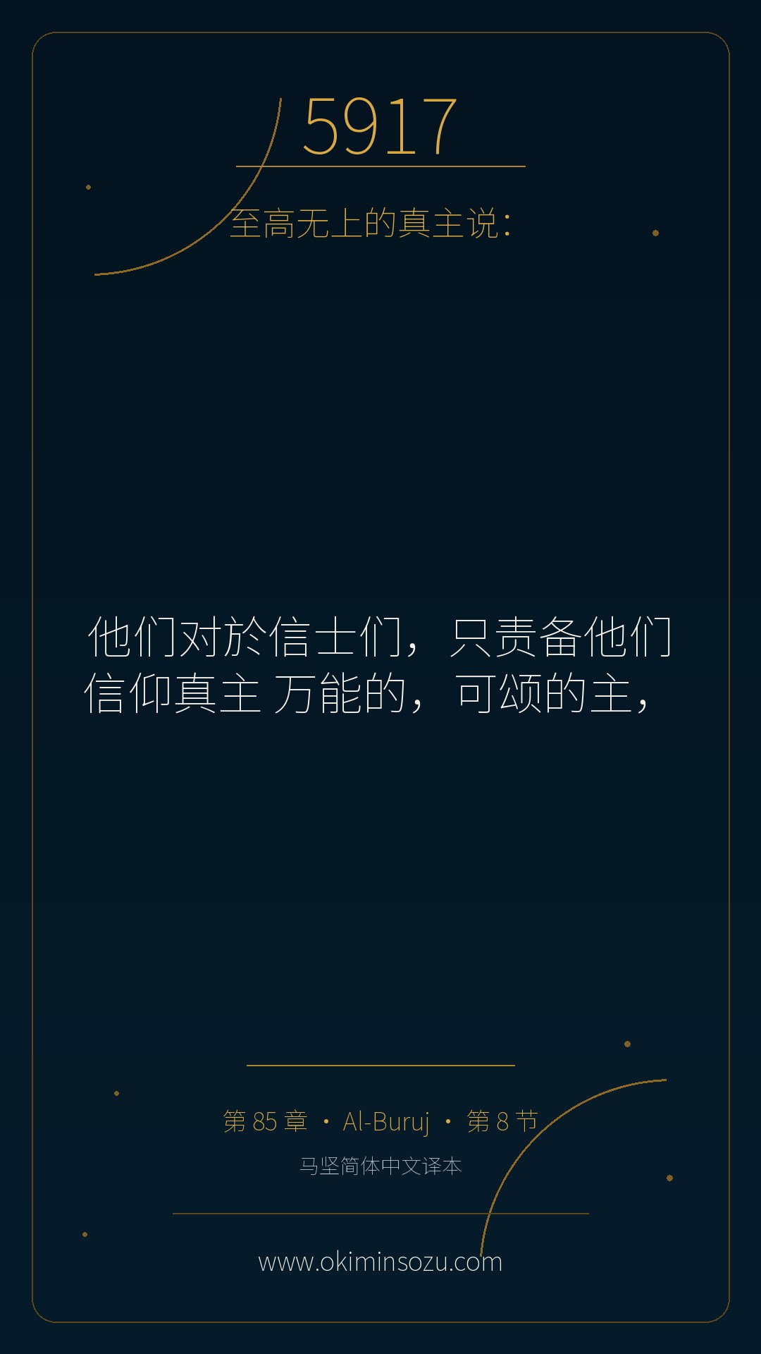 5917 S085 A008