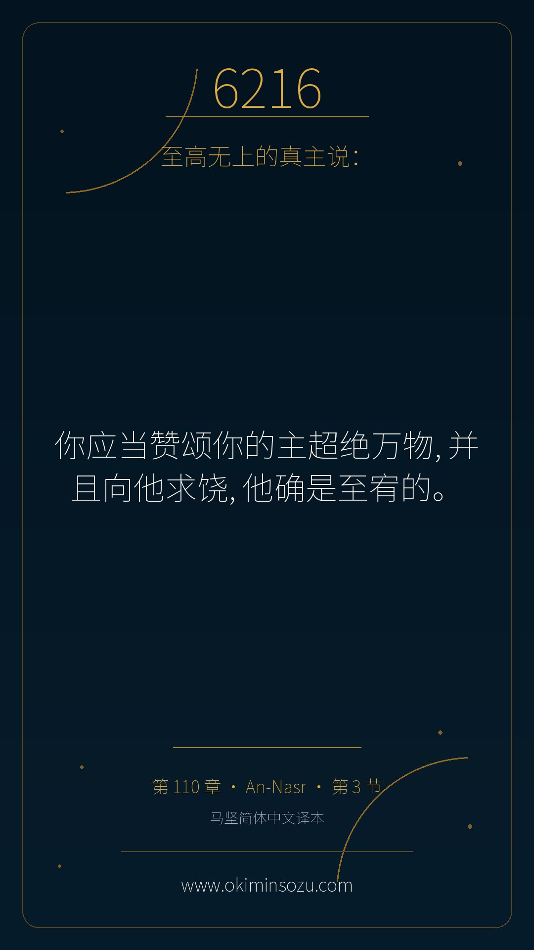 6216 S110 A003