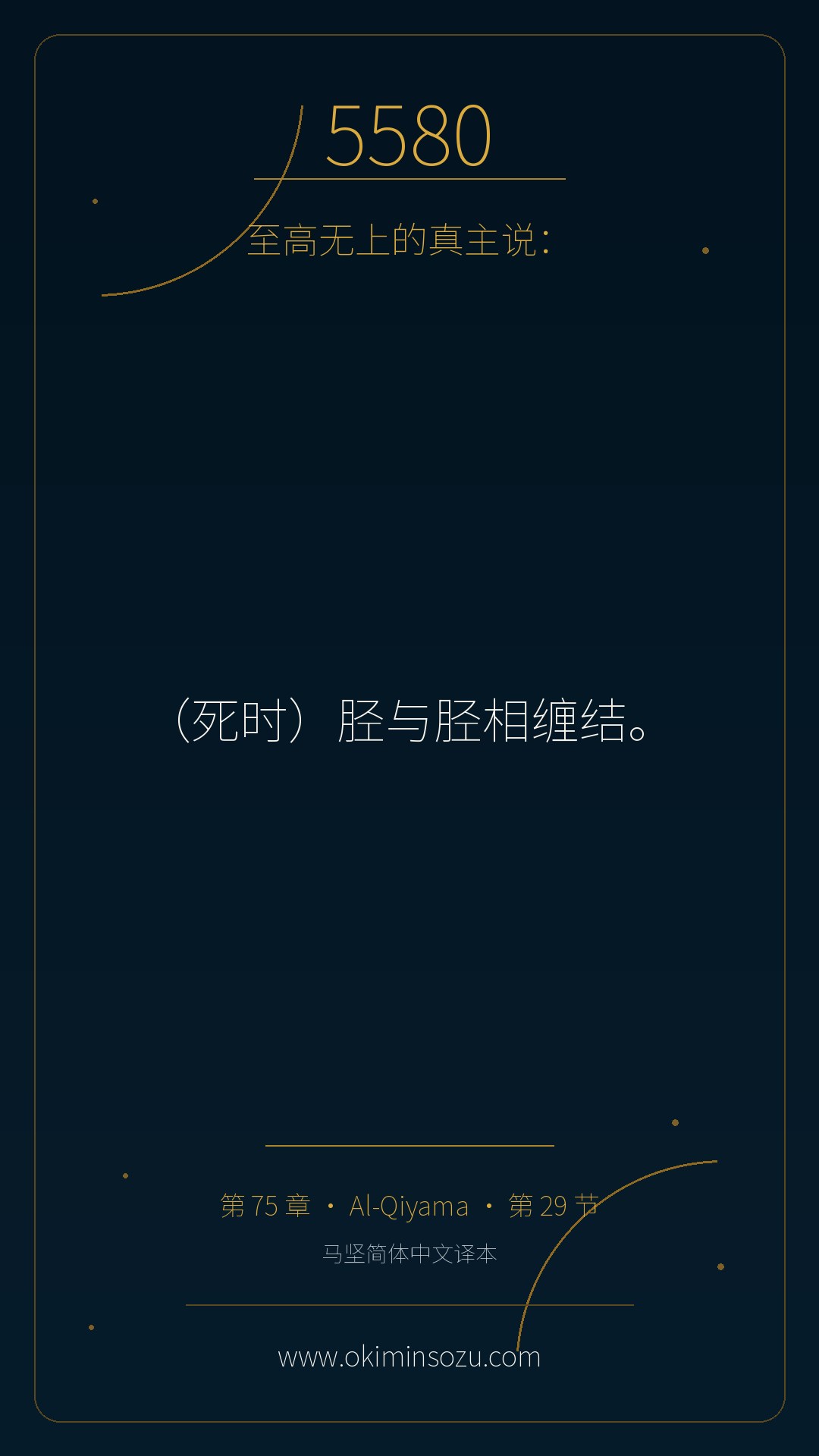 5580 S075 A029