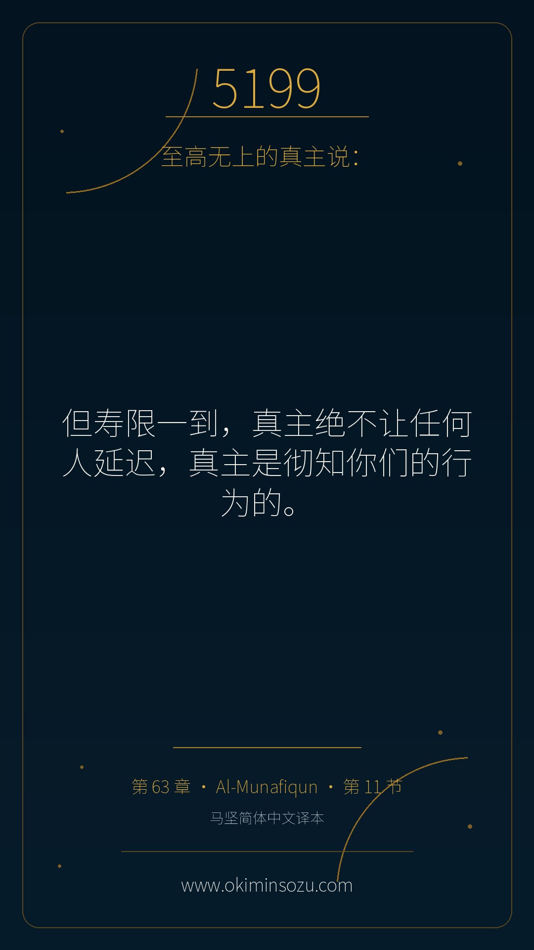 5199 S063 A011