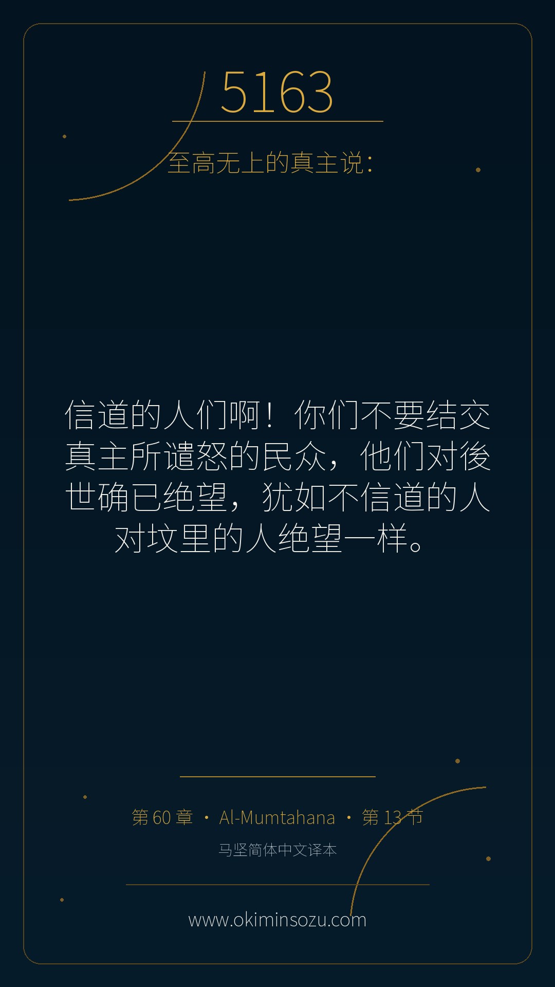 5163 S060 A013