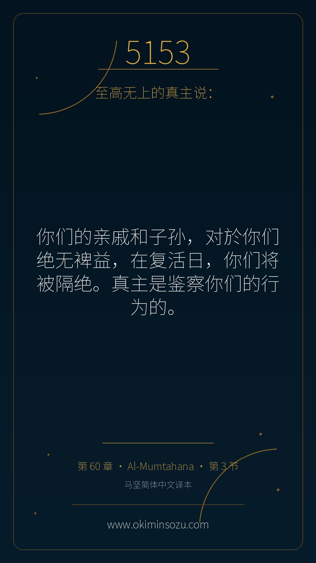 5153 S060 A003