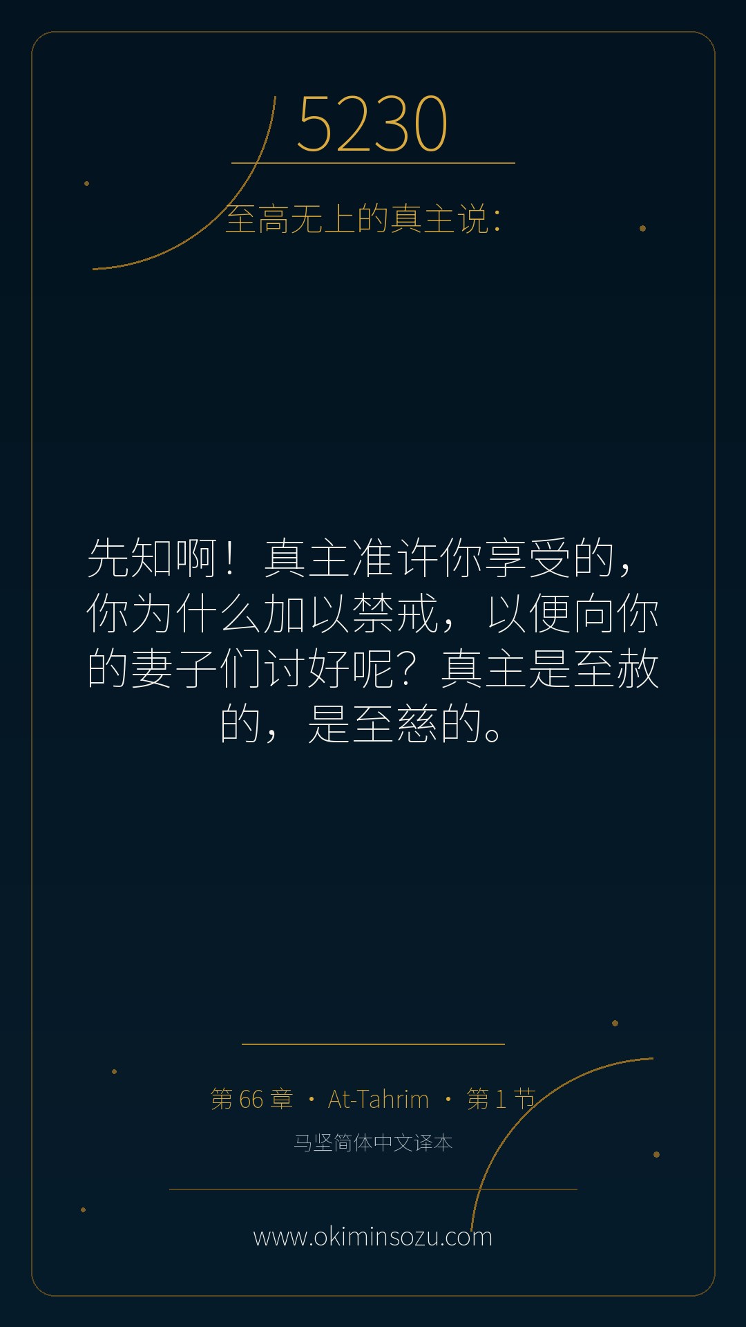 5230 S066 A001