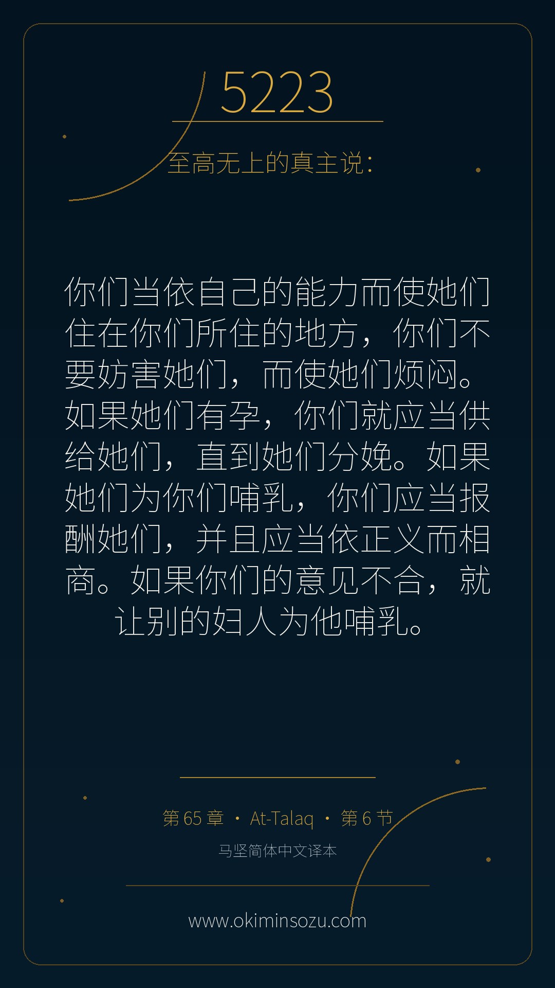 5223 S065 A006