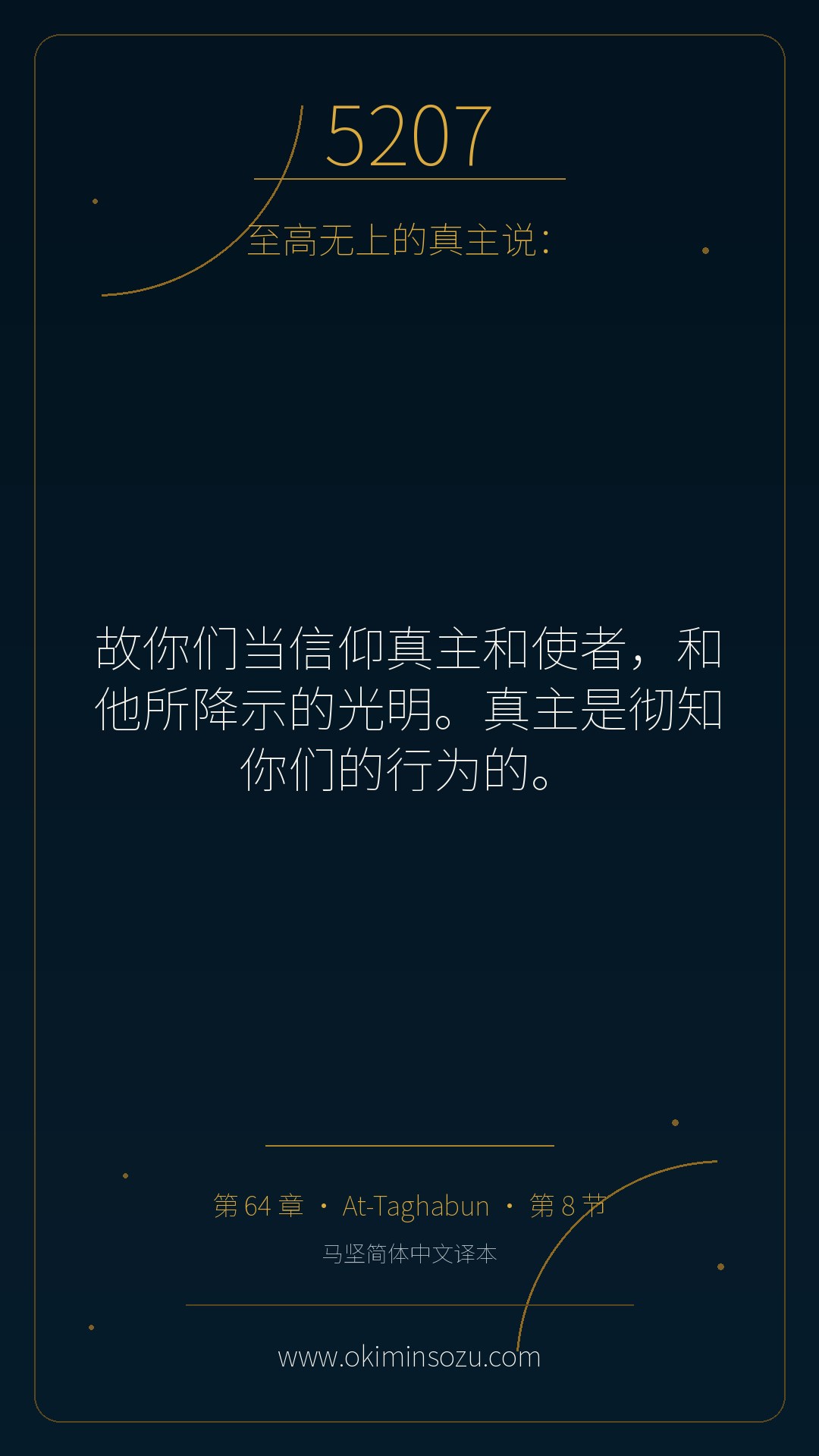 5207 S064 A008