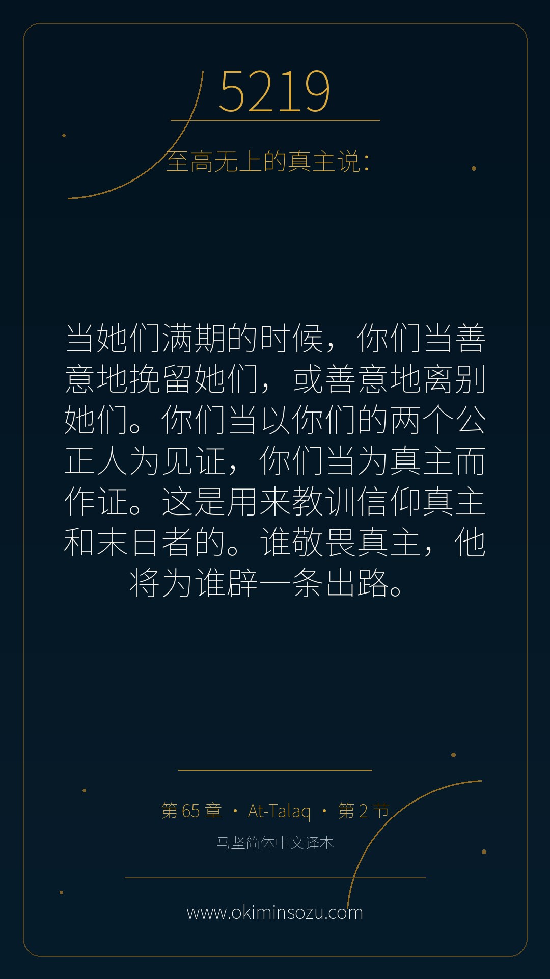 5219 S065 A002