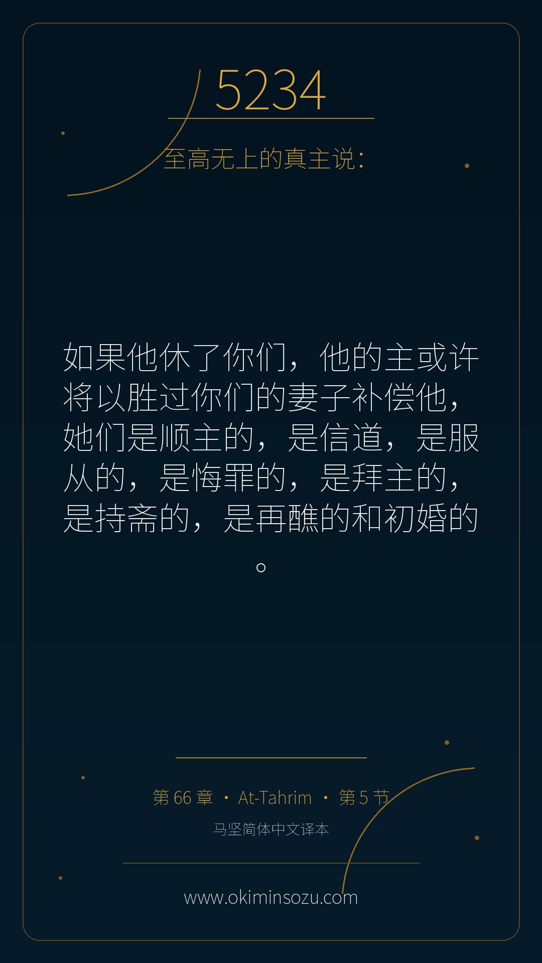 5234 S066 A005