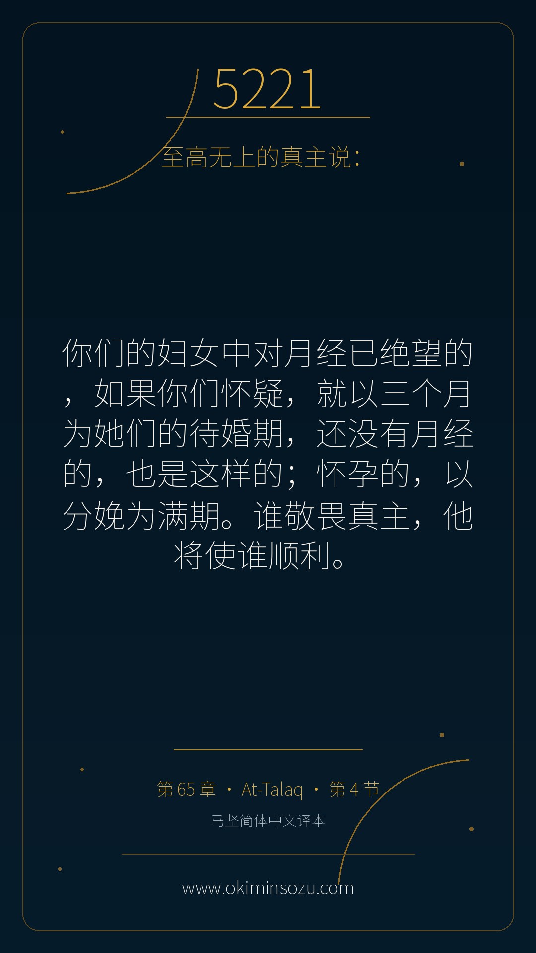 5221 S065 A004