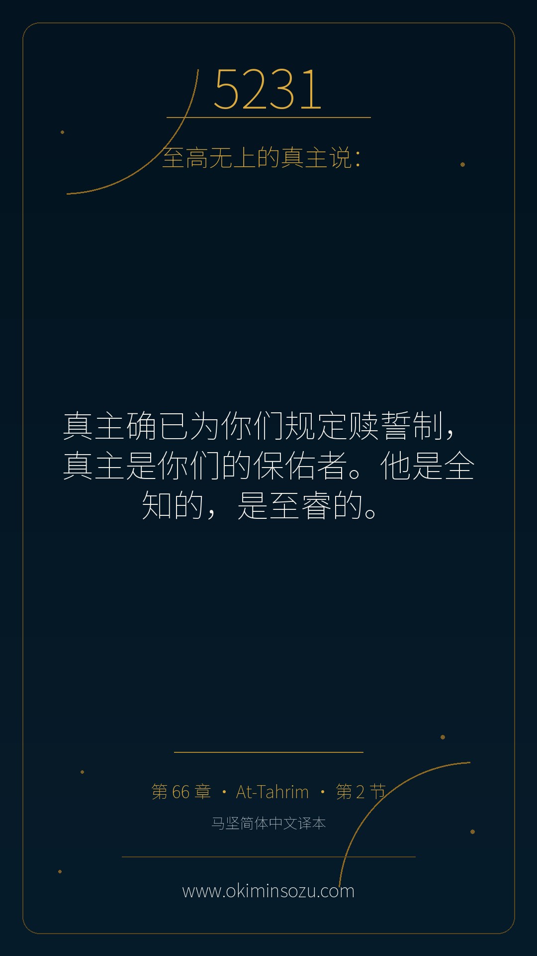 5231 S066 A002