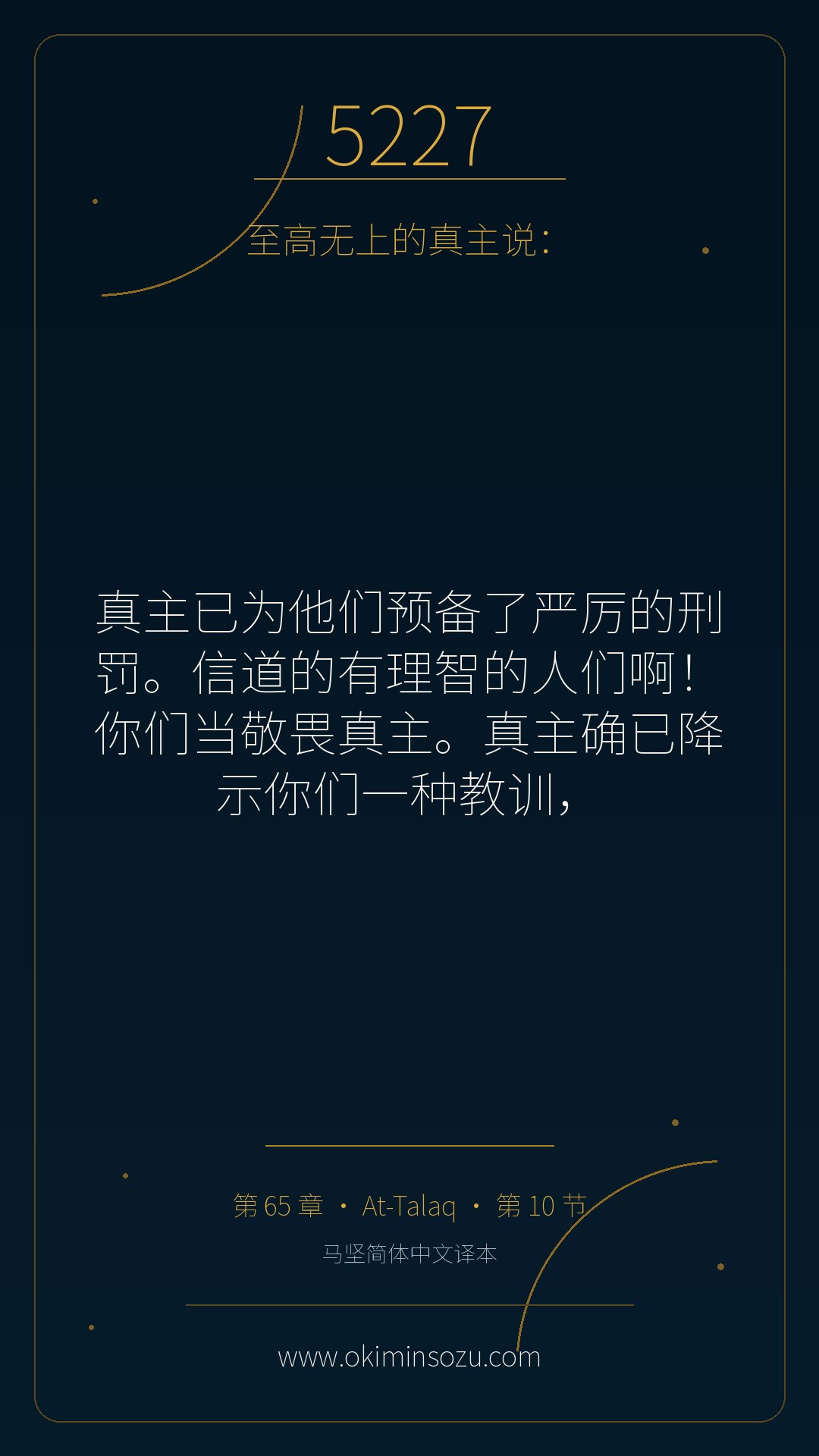 5227 S065 A010