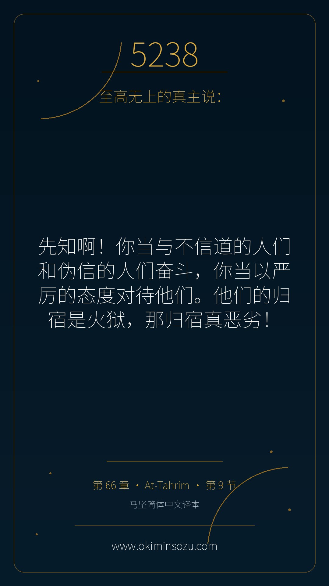 5238 S066 A009