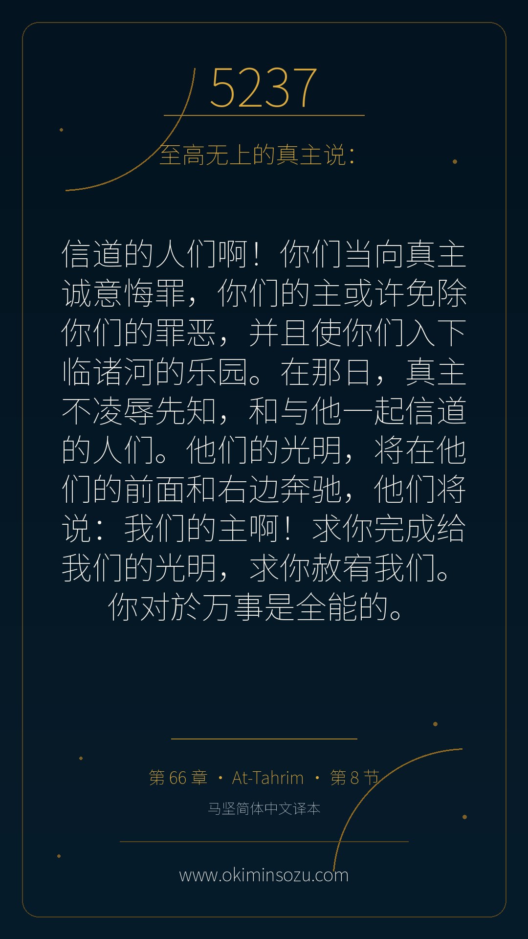 5237 S066 A008