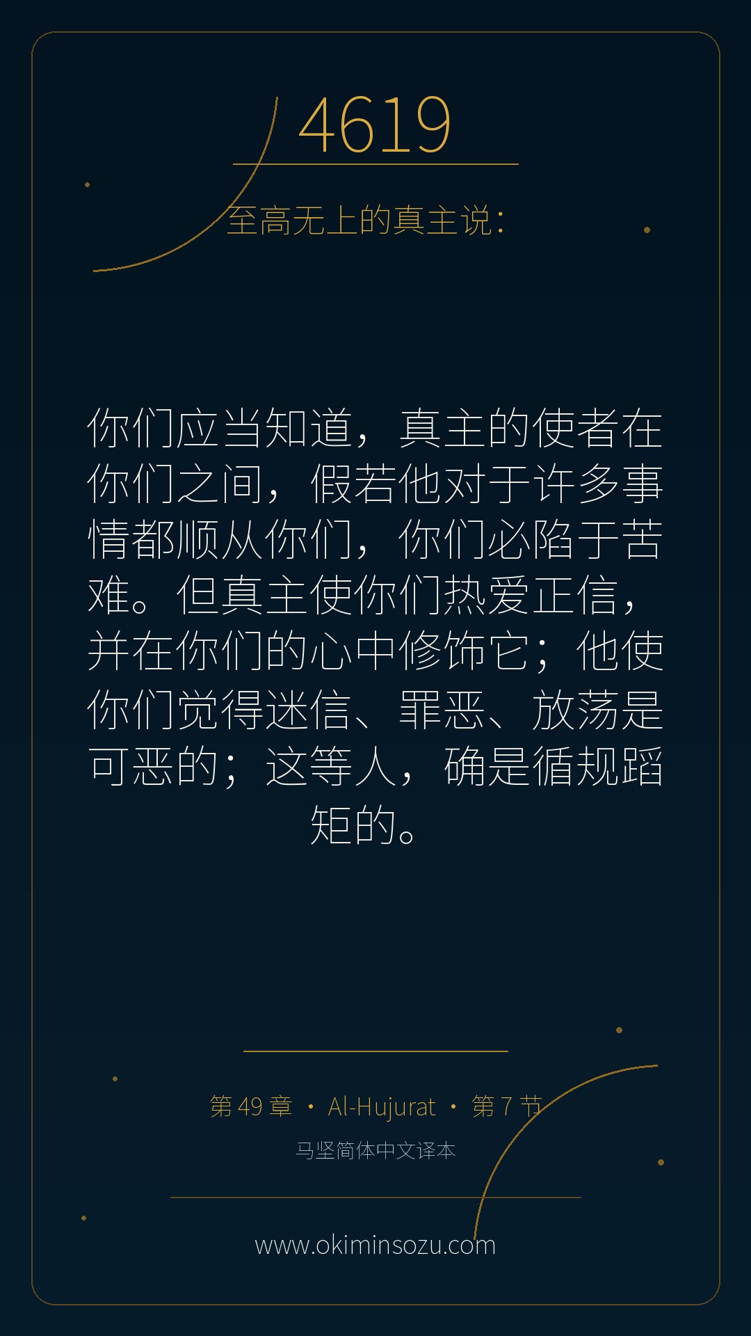 4619 S049 A007