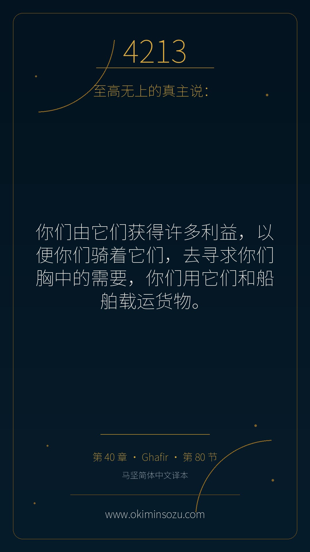 4213 S040 A080
