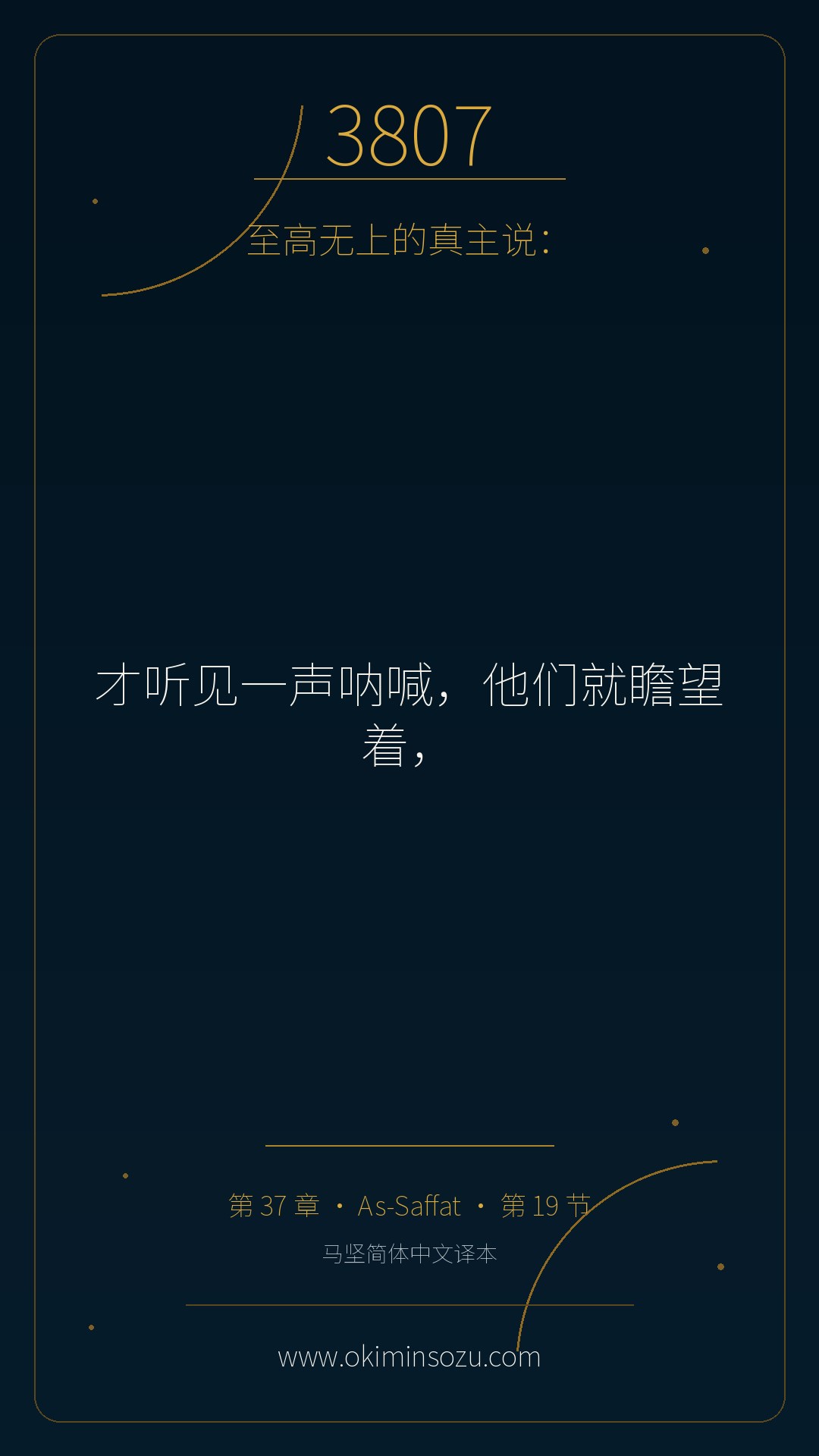 3807 S037 A019