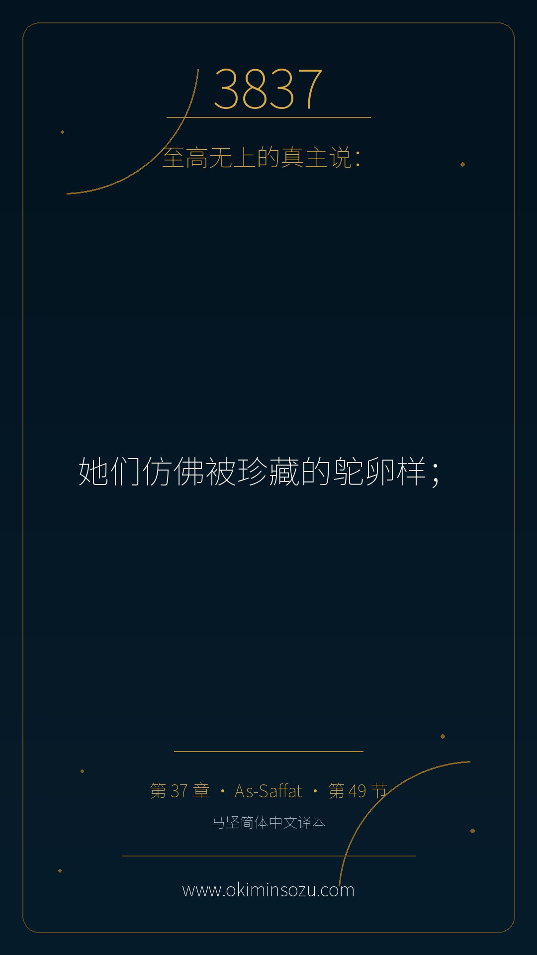 3837 S037 A049