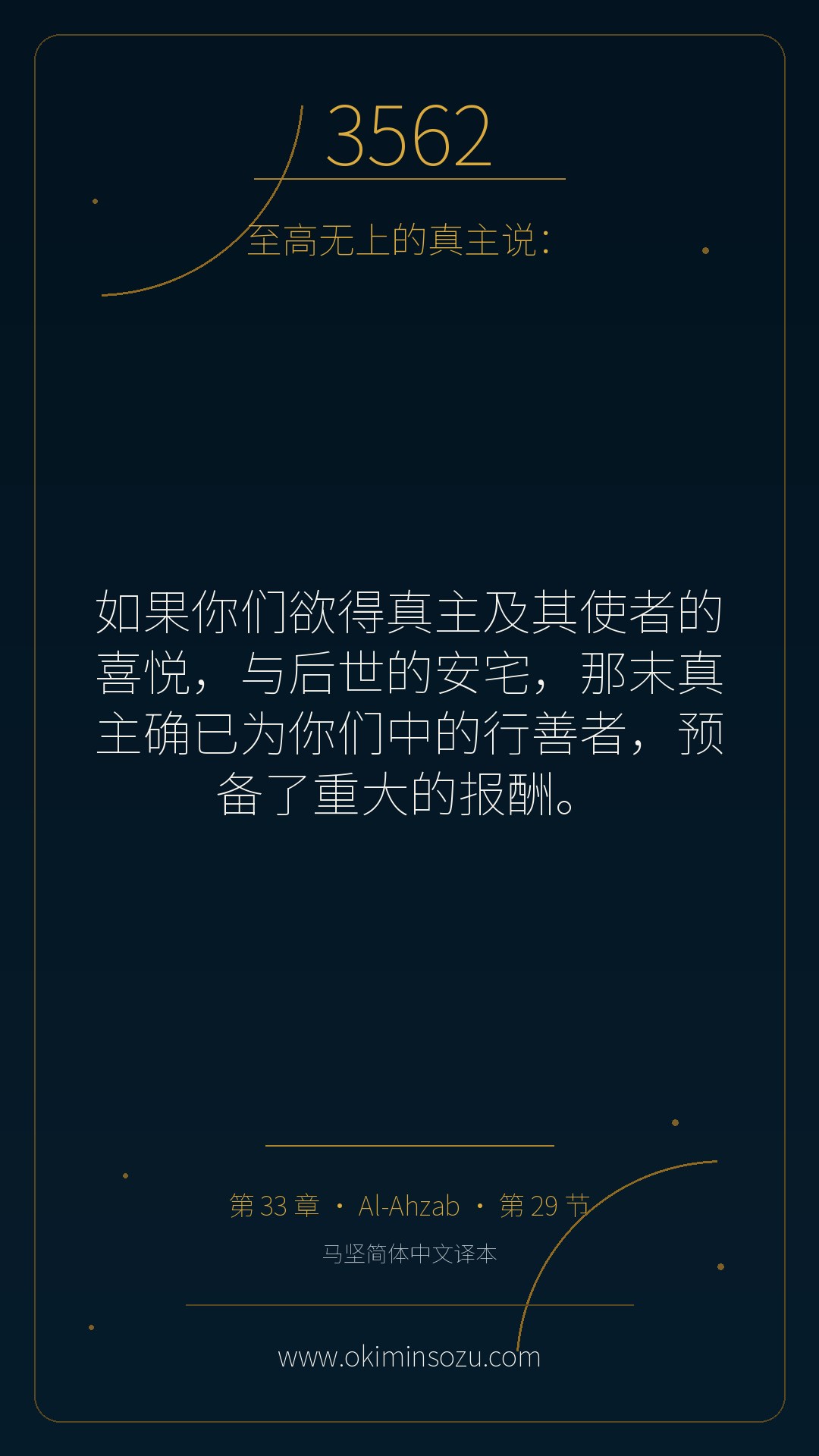 3562 S033 A029