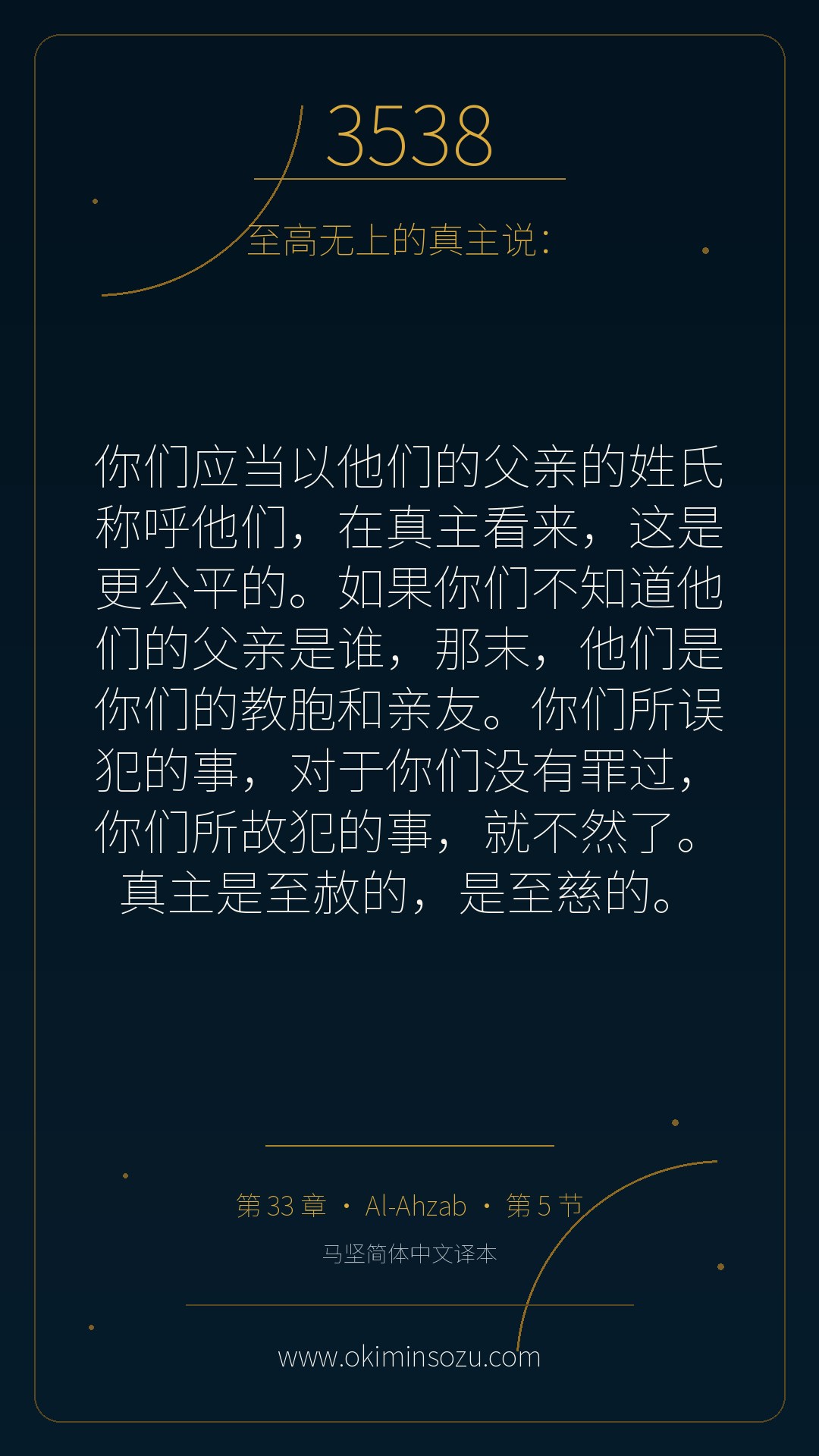 3538 S033 A005