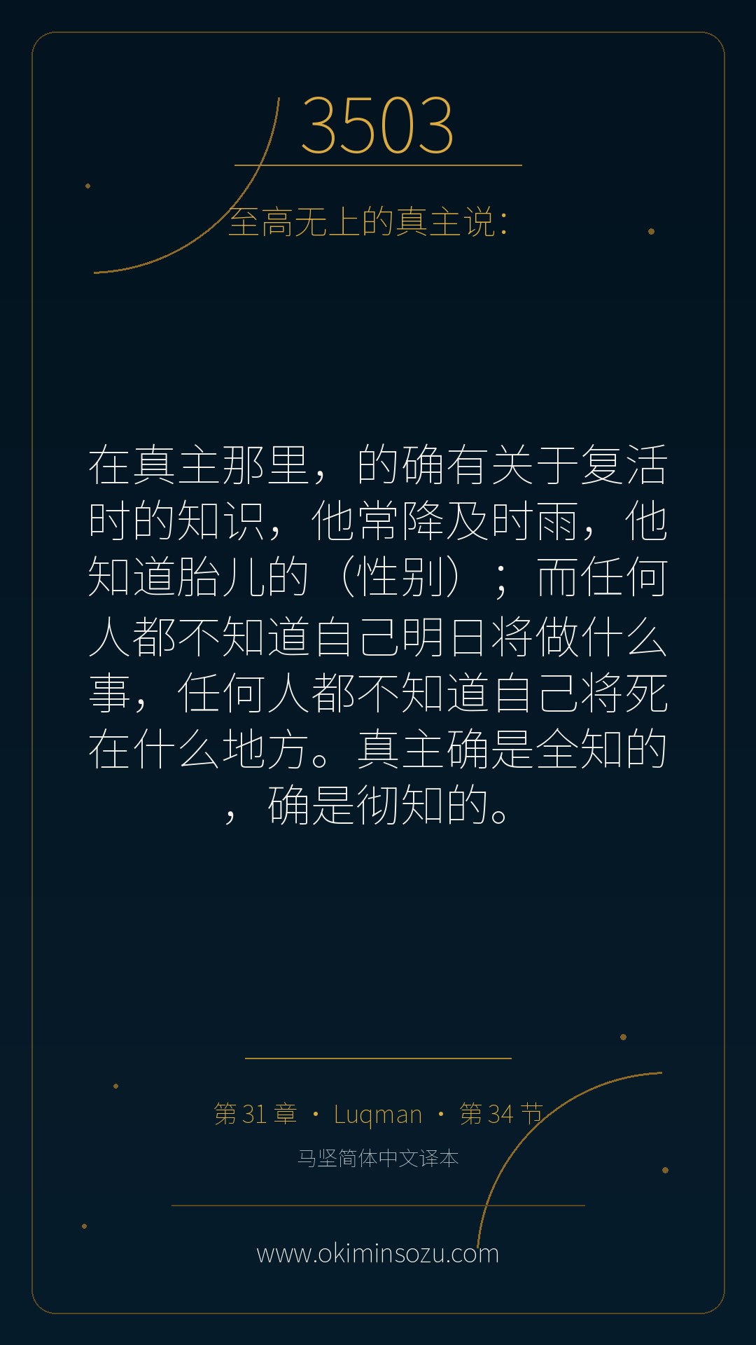 3503 S031 A034