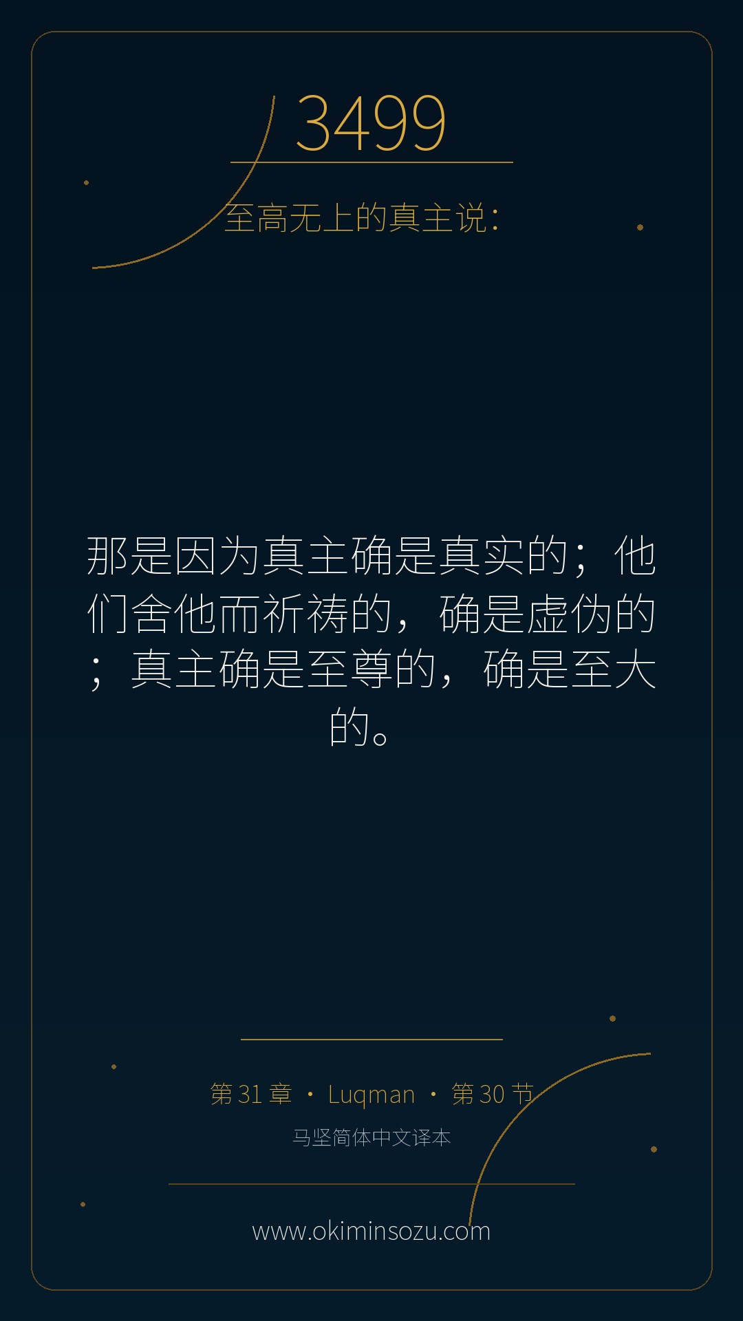 3499 S031 A030
