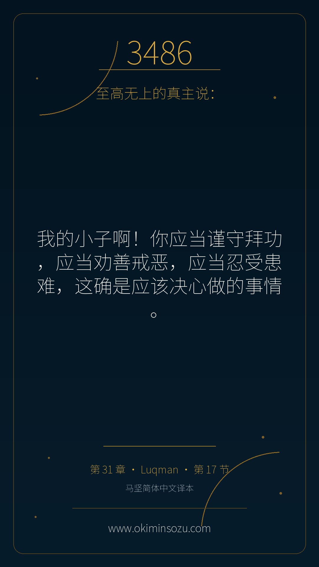 3486 S031 A017