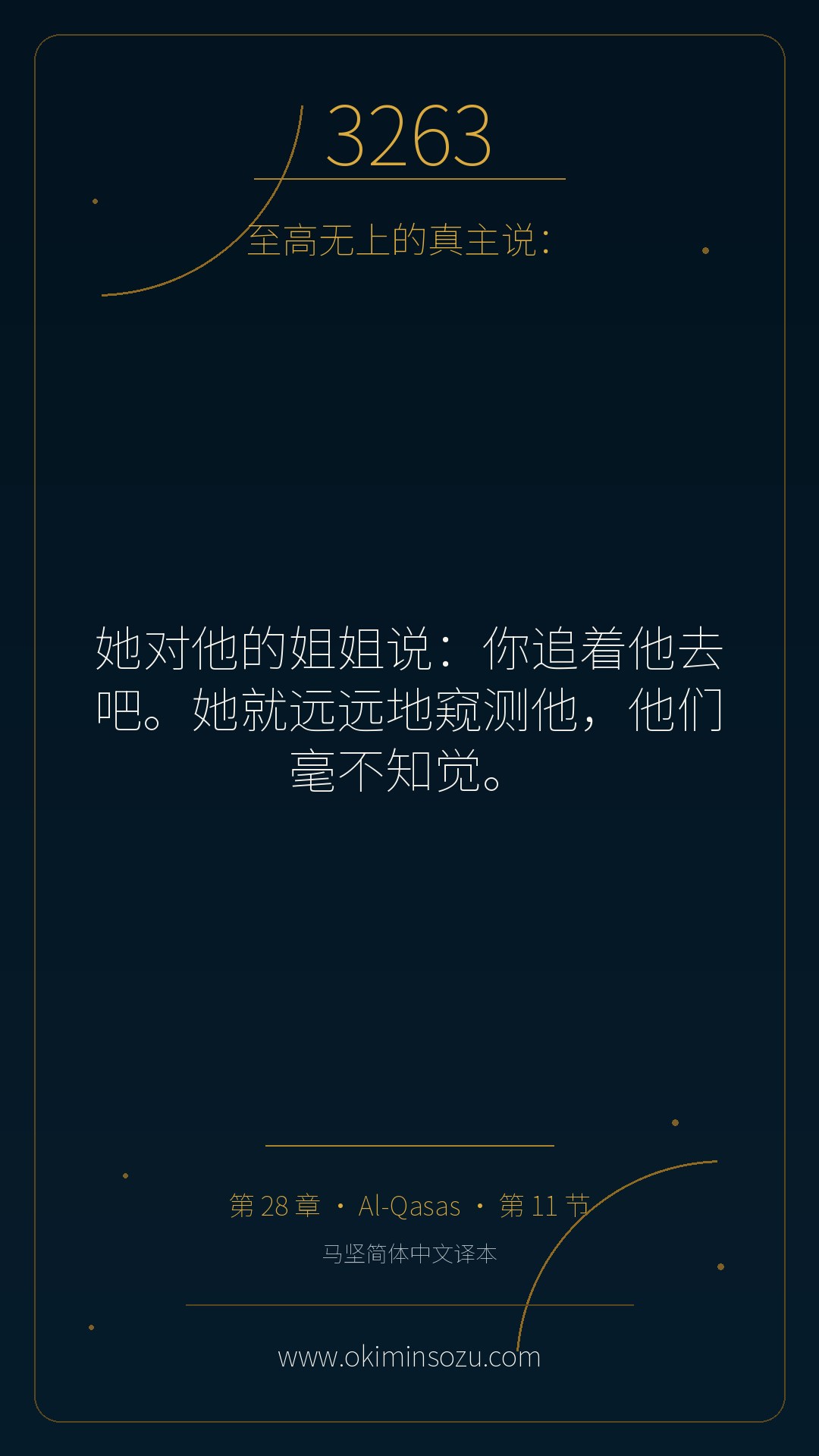 3263 S028 A011