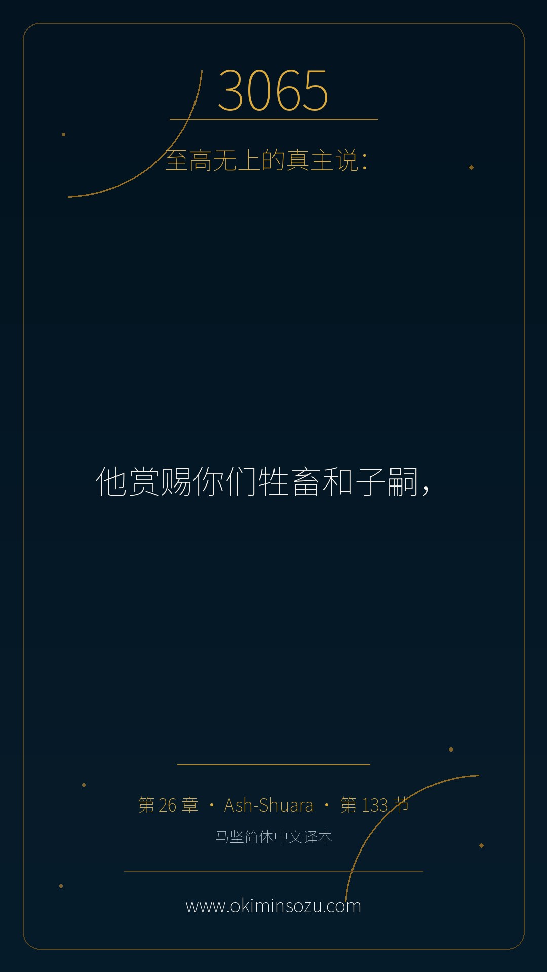 3065 S026 A133