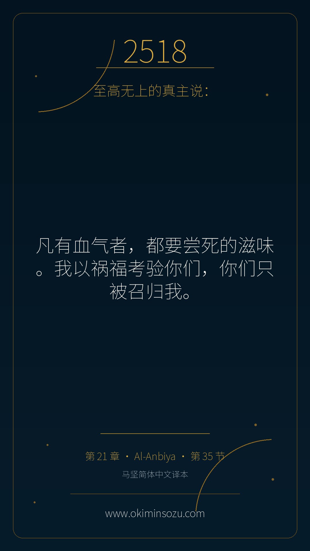 2518 S021 A035