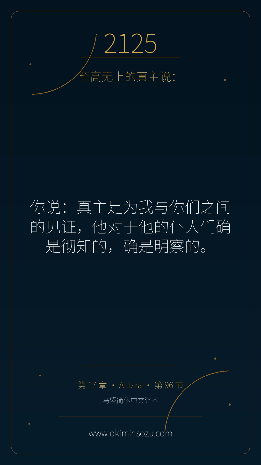 2125 S017 A096