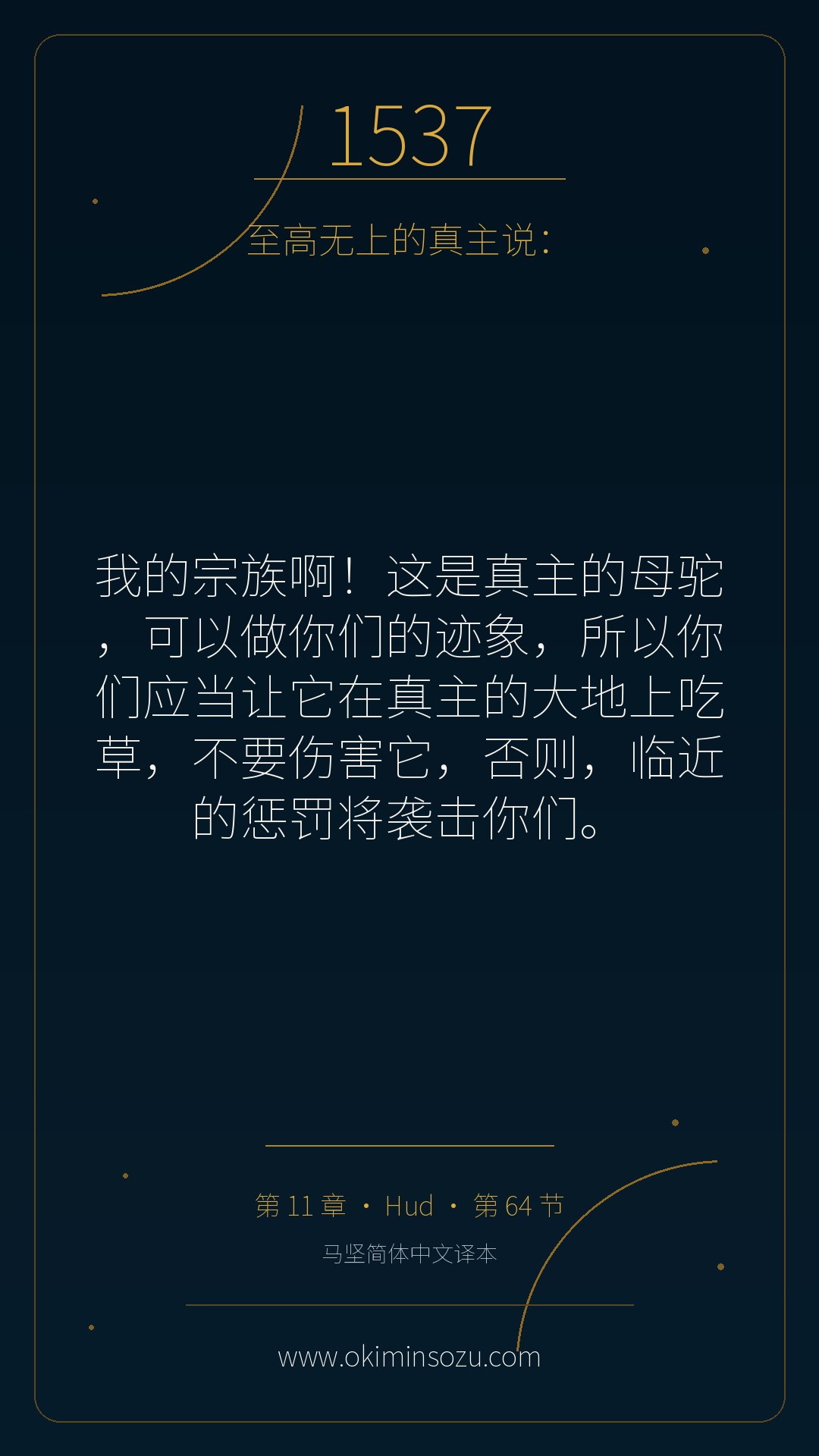 1537 S011 A064