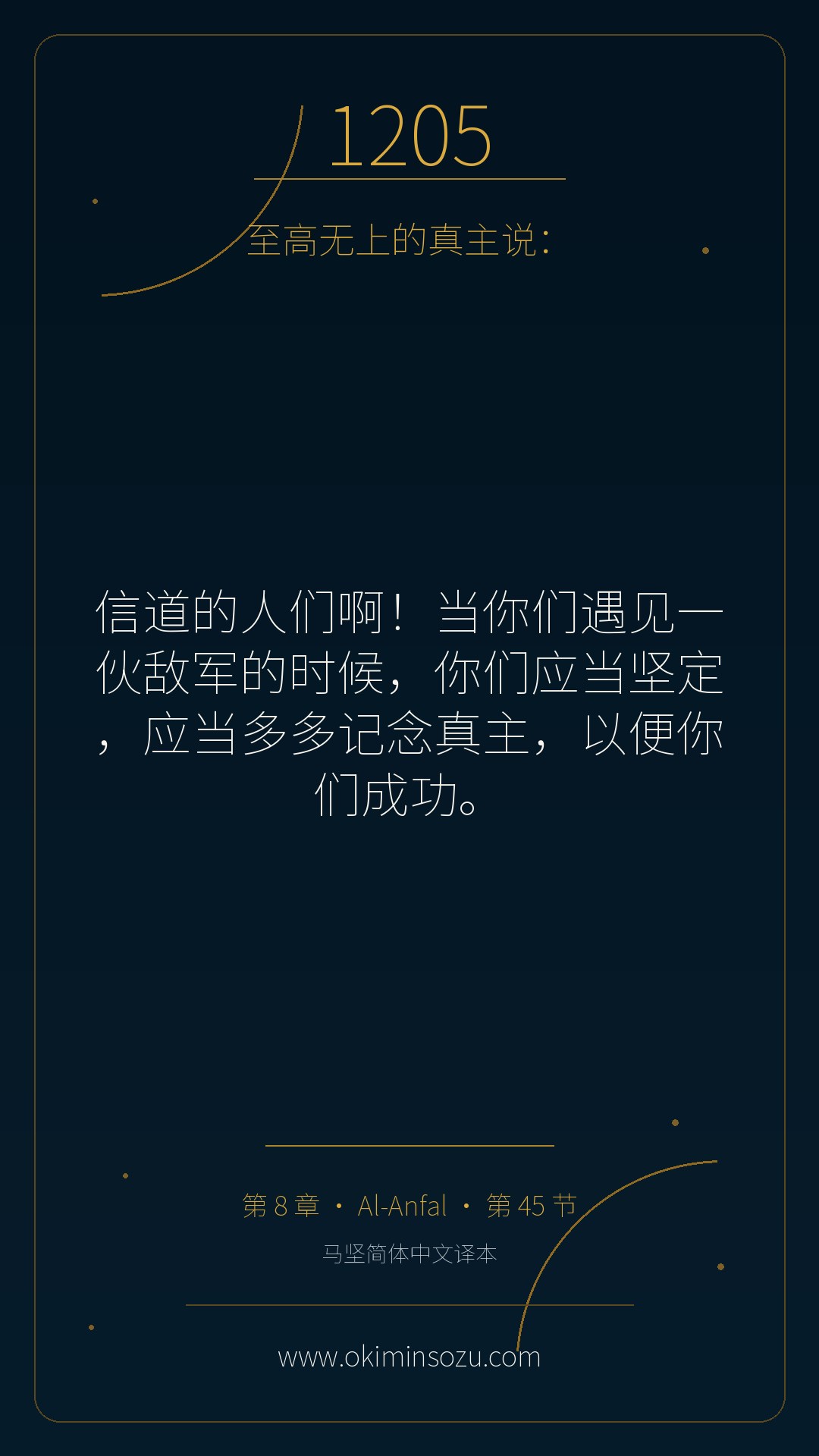 1205 S008 A045