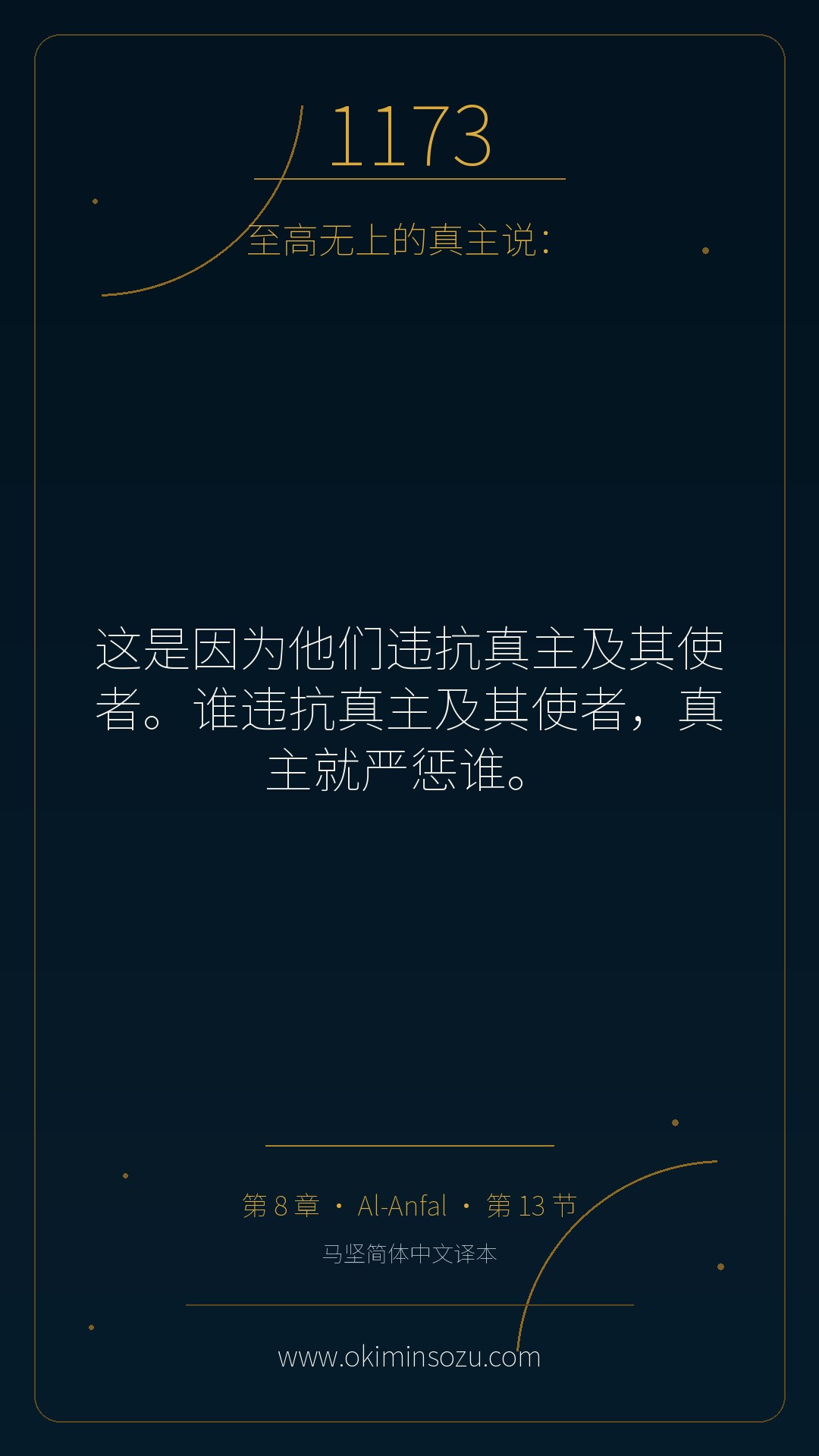 1173 S008 A013