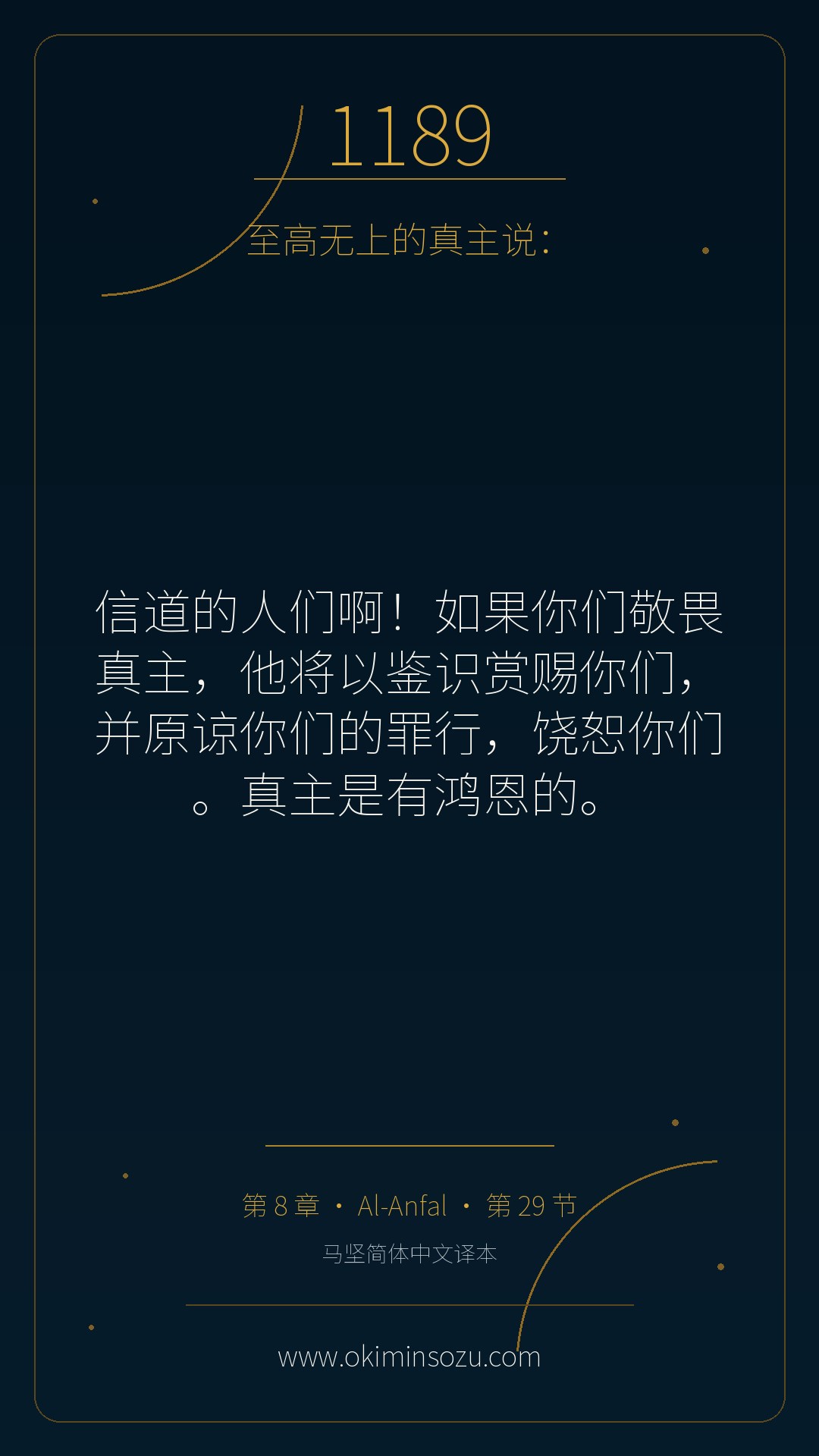 1189 S008 A029