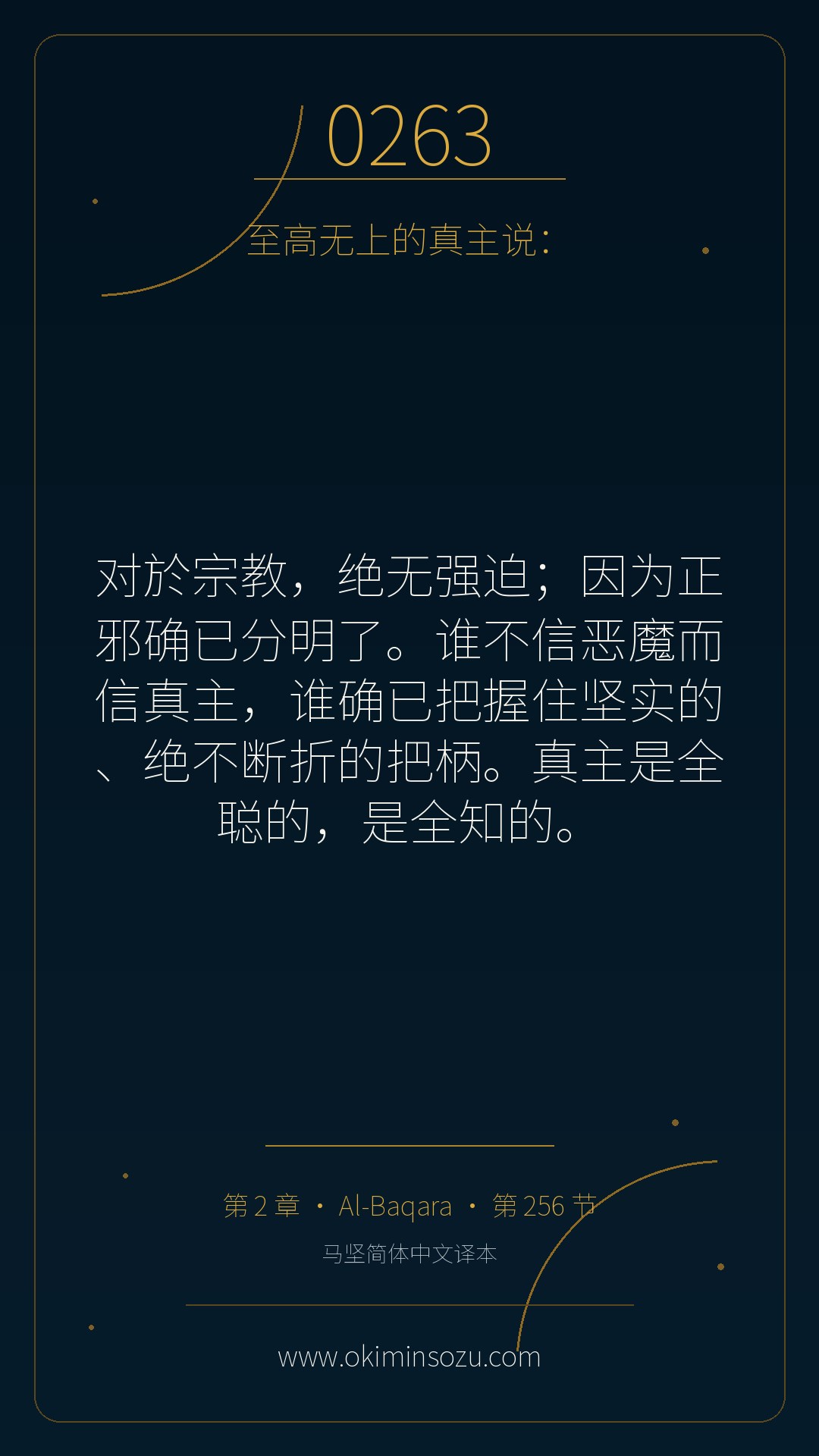 0263 S002 A256