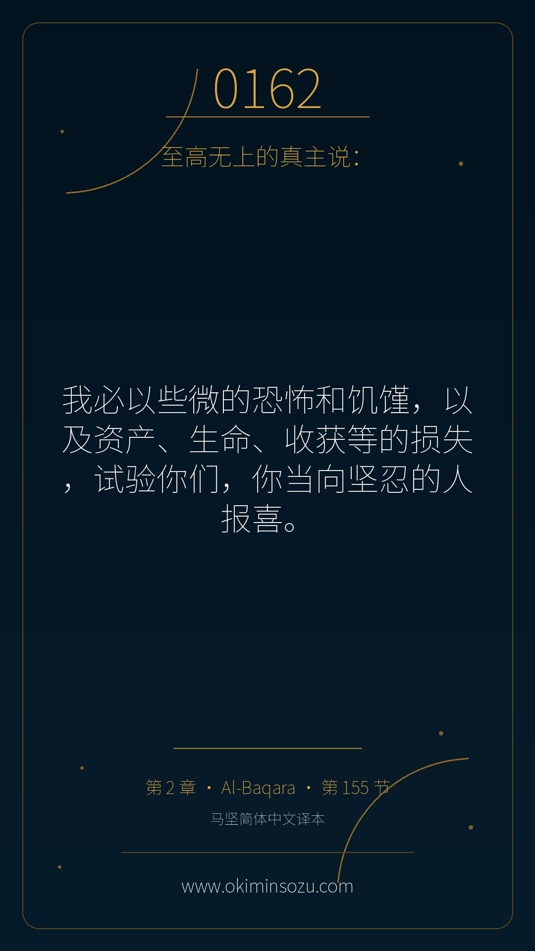 0162 S002 A155