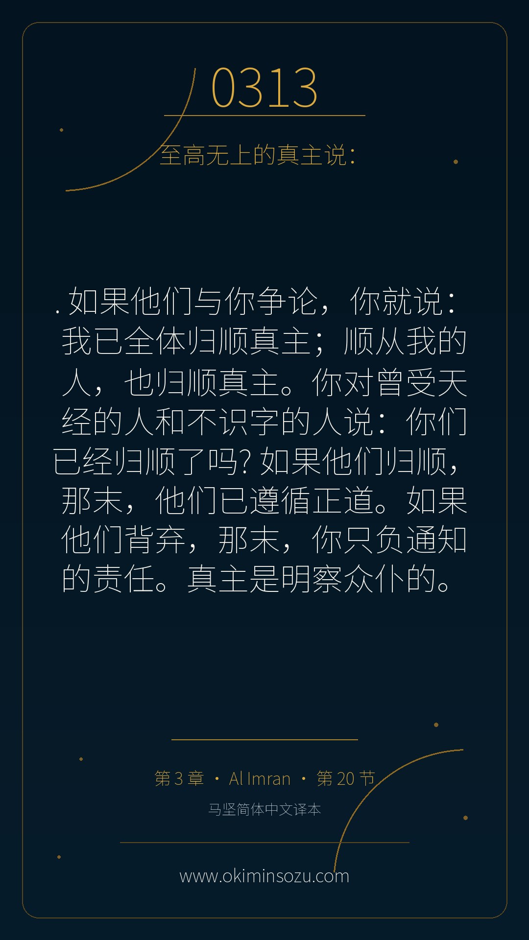 0313 S003 A020